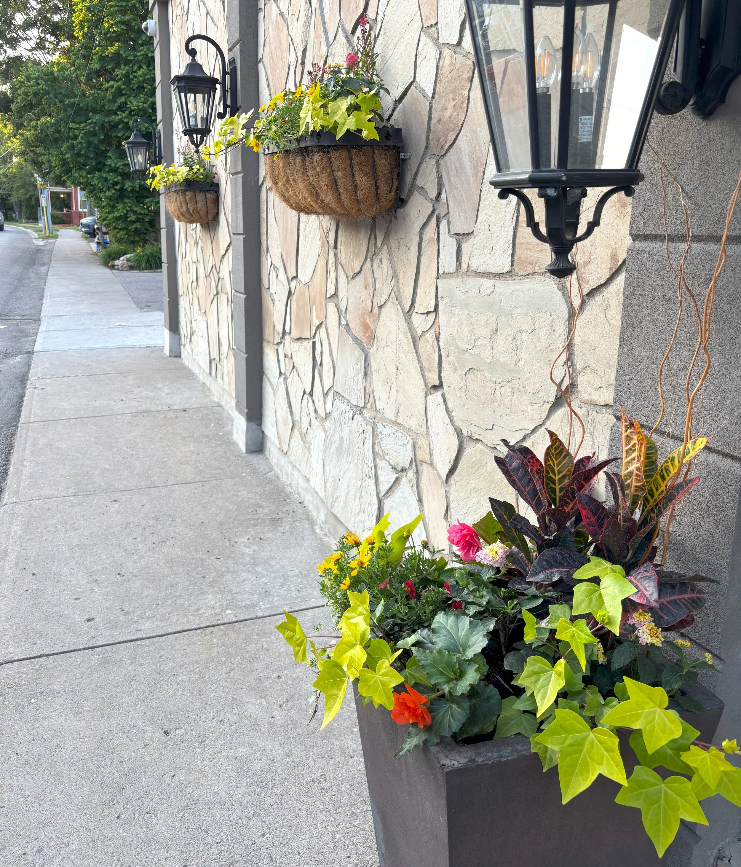 Summer Commercial Planters Eden Designscapes.jpg