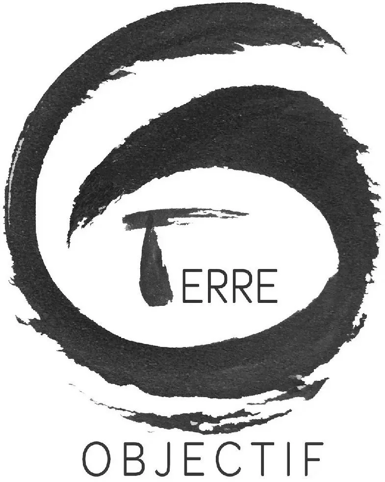 formation certifiante pour la constrcution en terre suivie par lume architectes