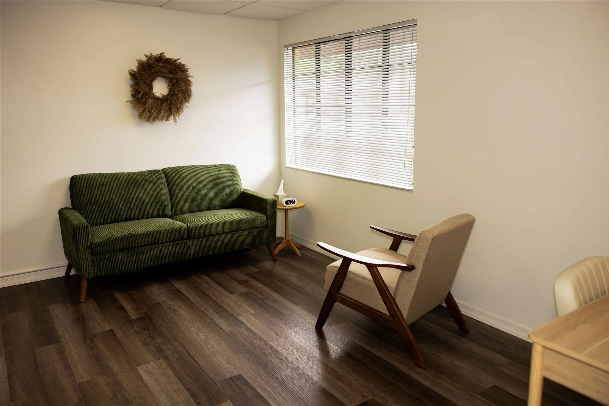 Warm Cozy Orlando Therapy Office