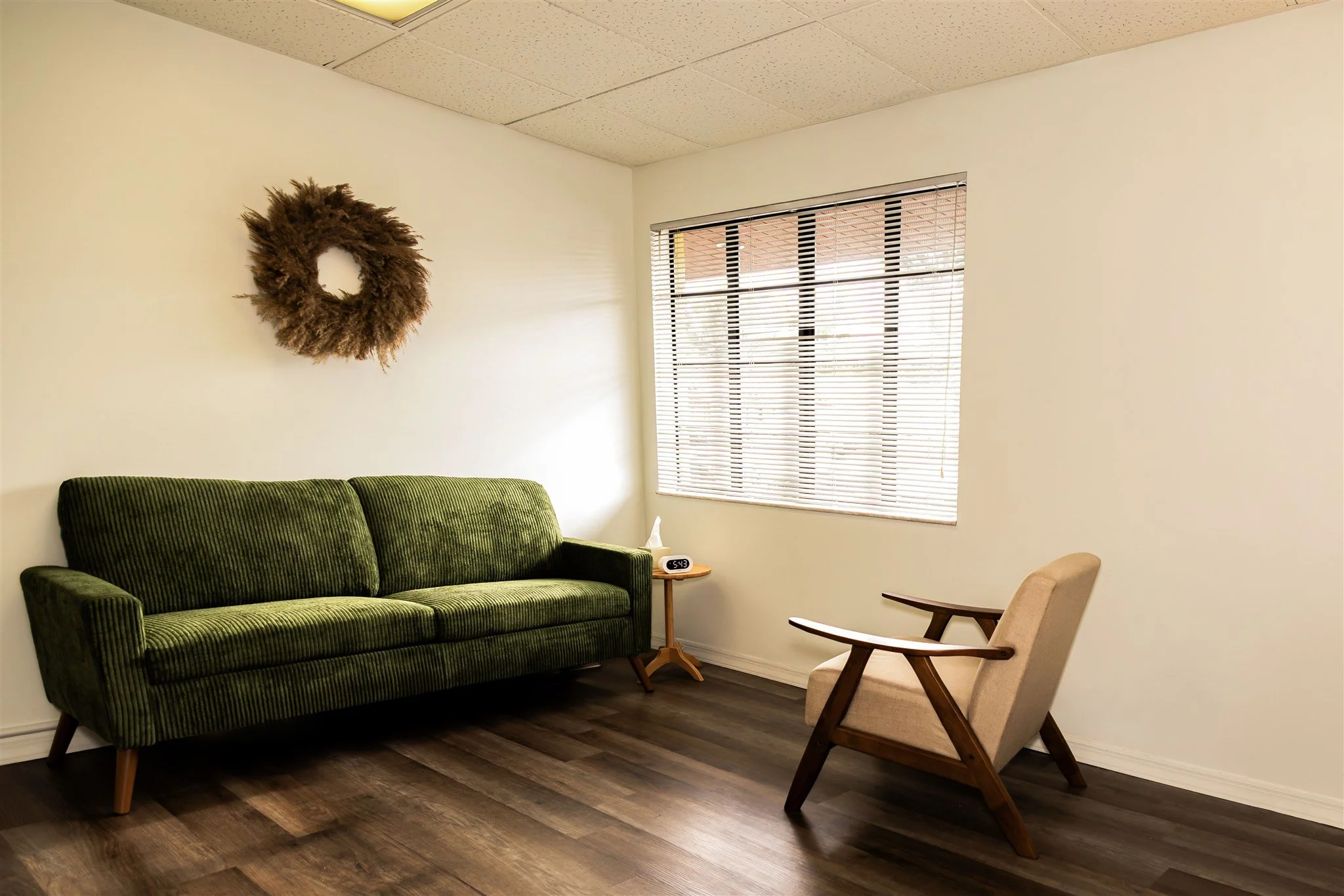 Warm Cozy Orlando Therapy Office