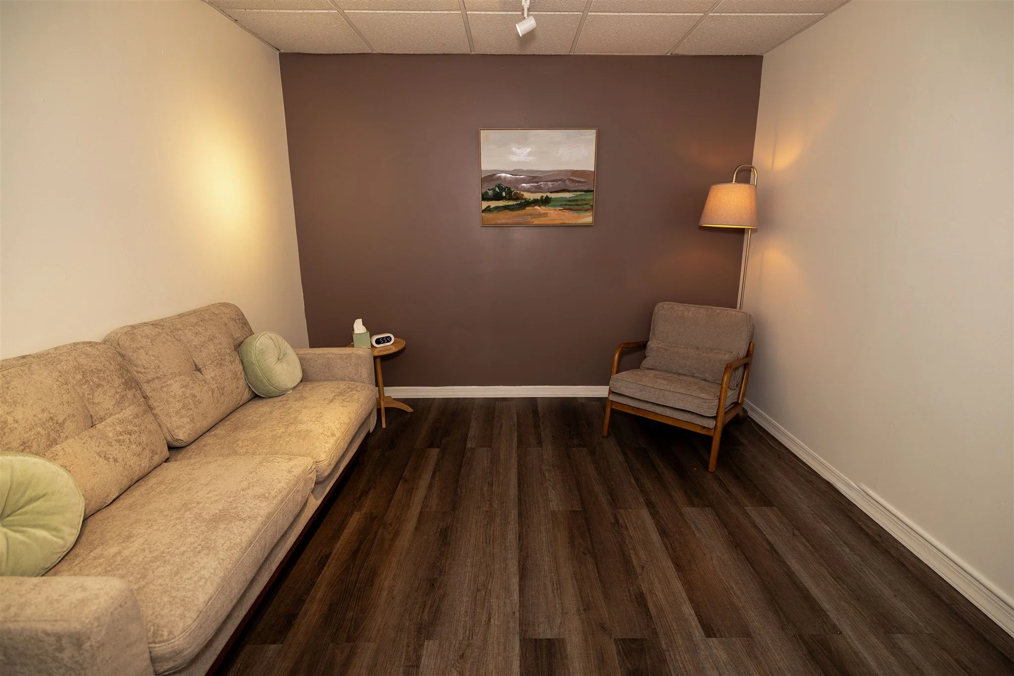 Warm Cozy Orlando Therapy Office