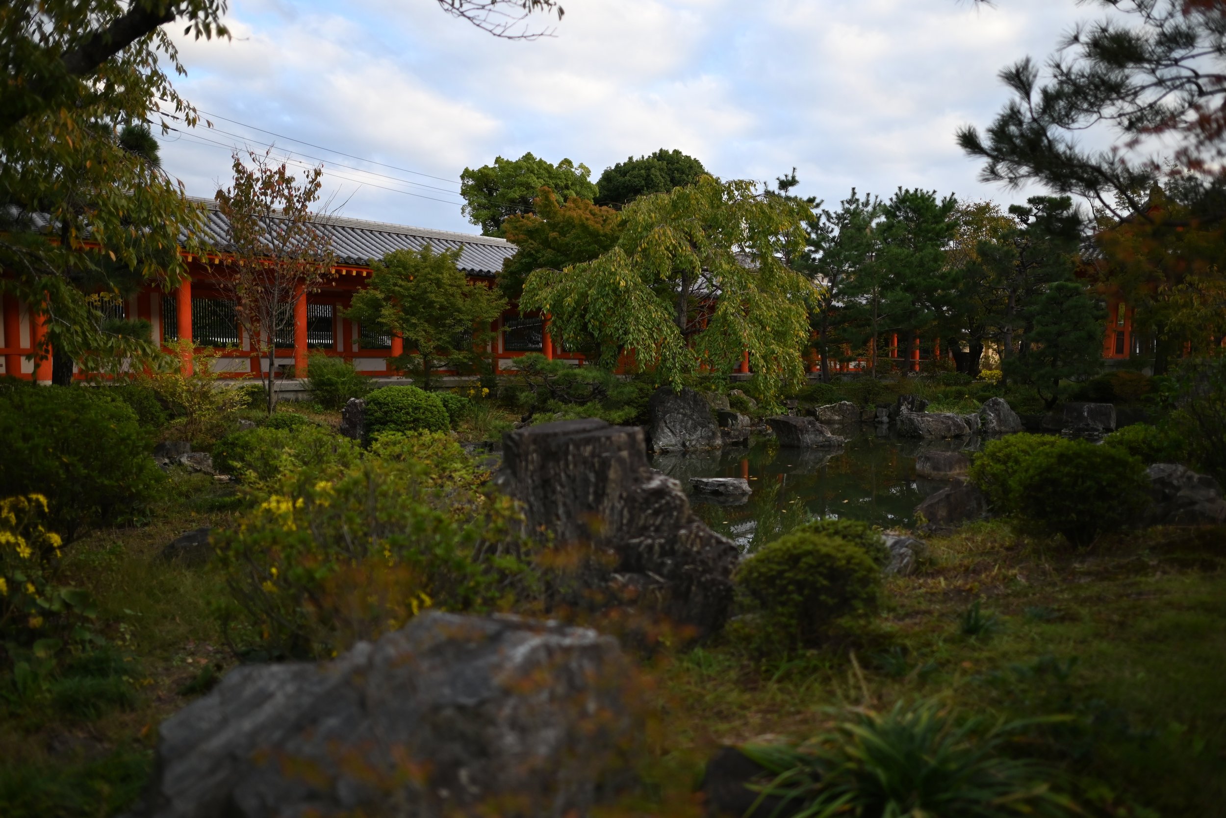 A garden at the Sanjūsangen-dō , a temple in Kyoto famous for is 1,001 statues of the Japanese Buddhist deity Kannon, goddess of reincarnation.