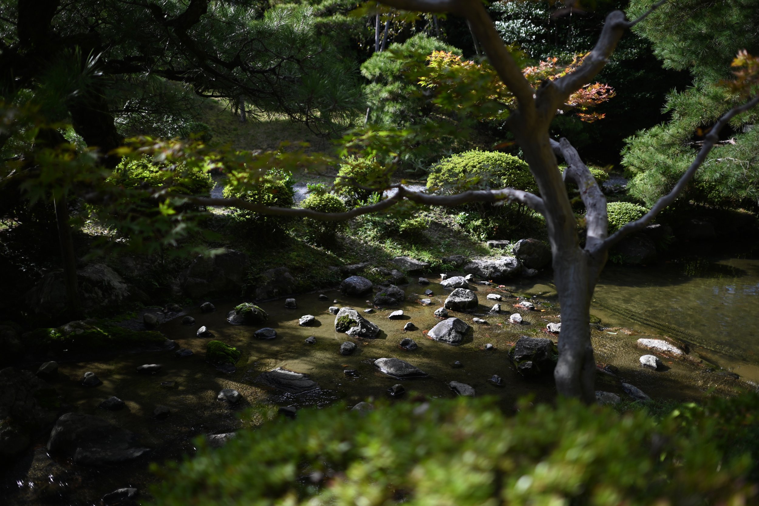 Gardens in Heian Jingu, a Shinto shrine in Kyoto.