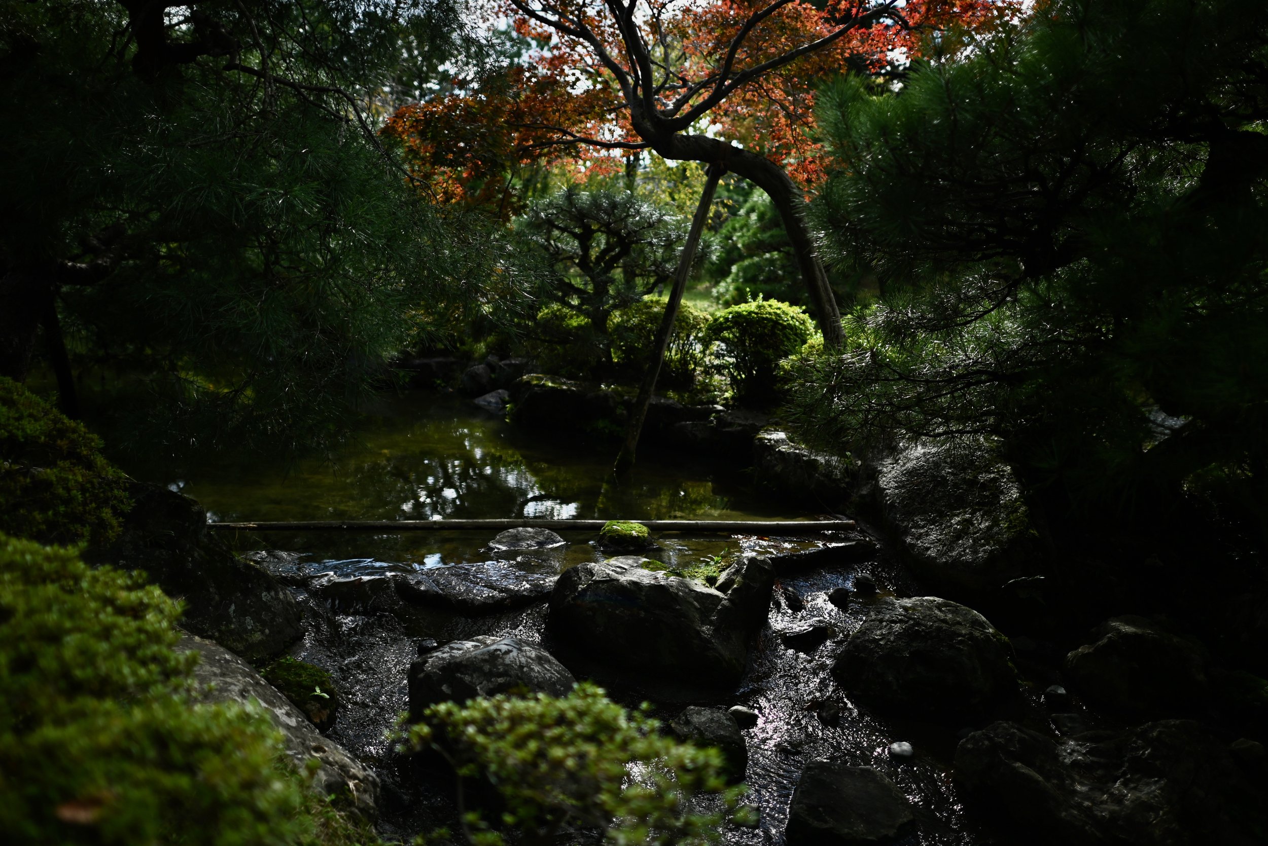 Gardens in Heian Jingu, a Shinto shrine in Kyoto.