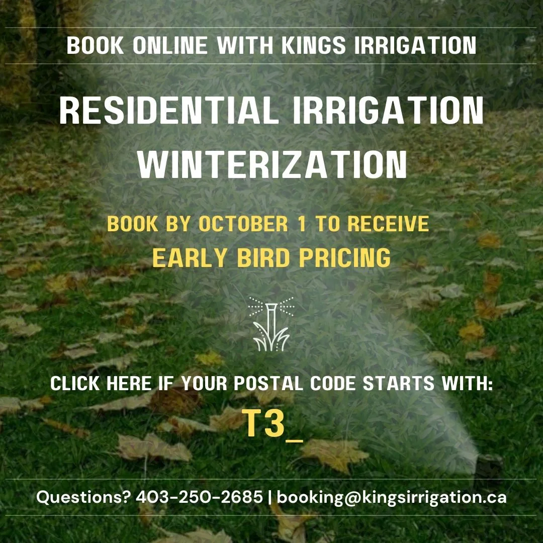 Early Bird Winterization T3_.jpg