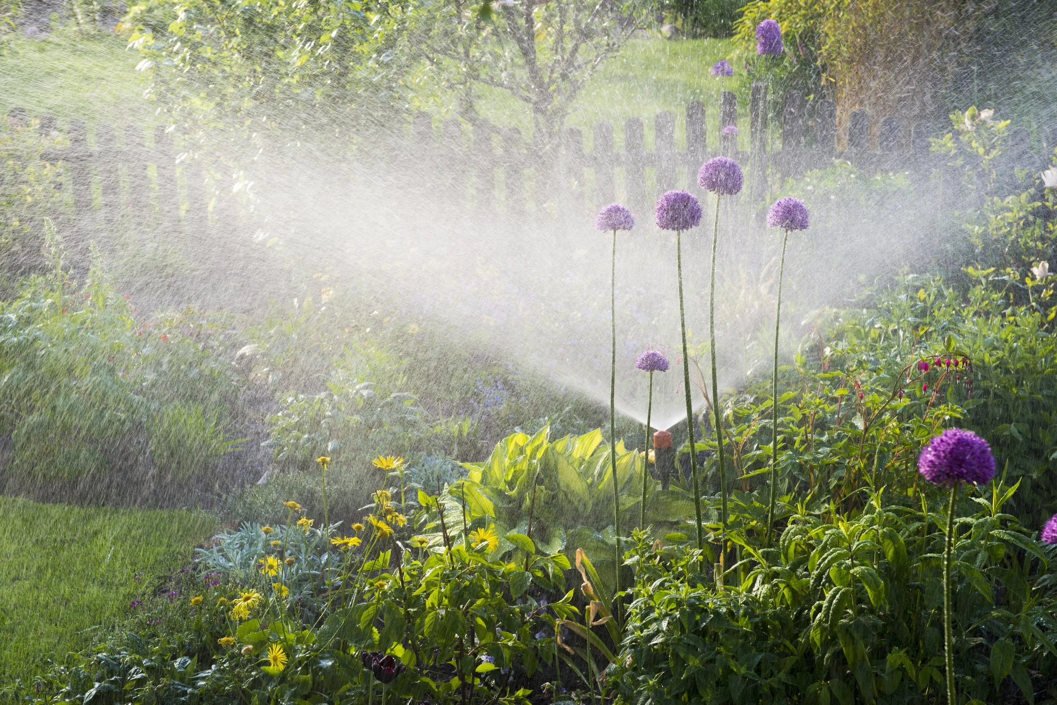 Residential Irrigation Services — King's Irrigation Inc.