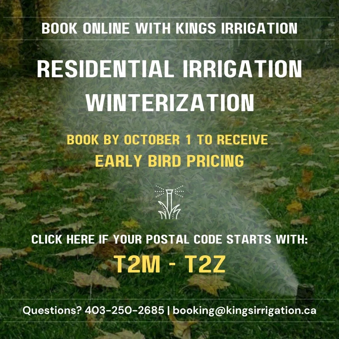 Early Bird Winterization T2M-T2Z.jpg