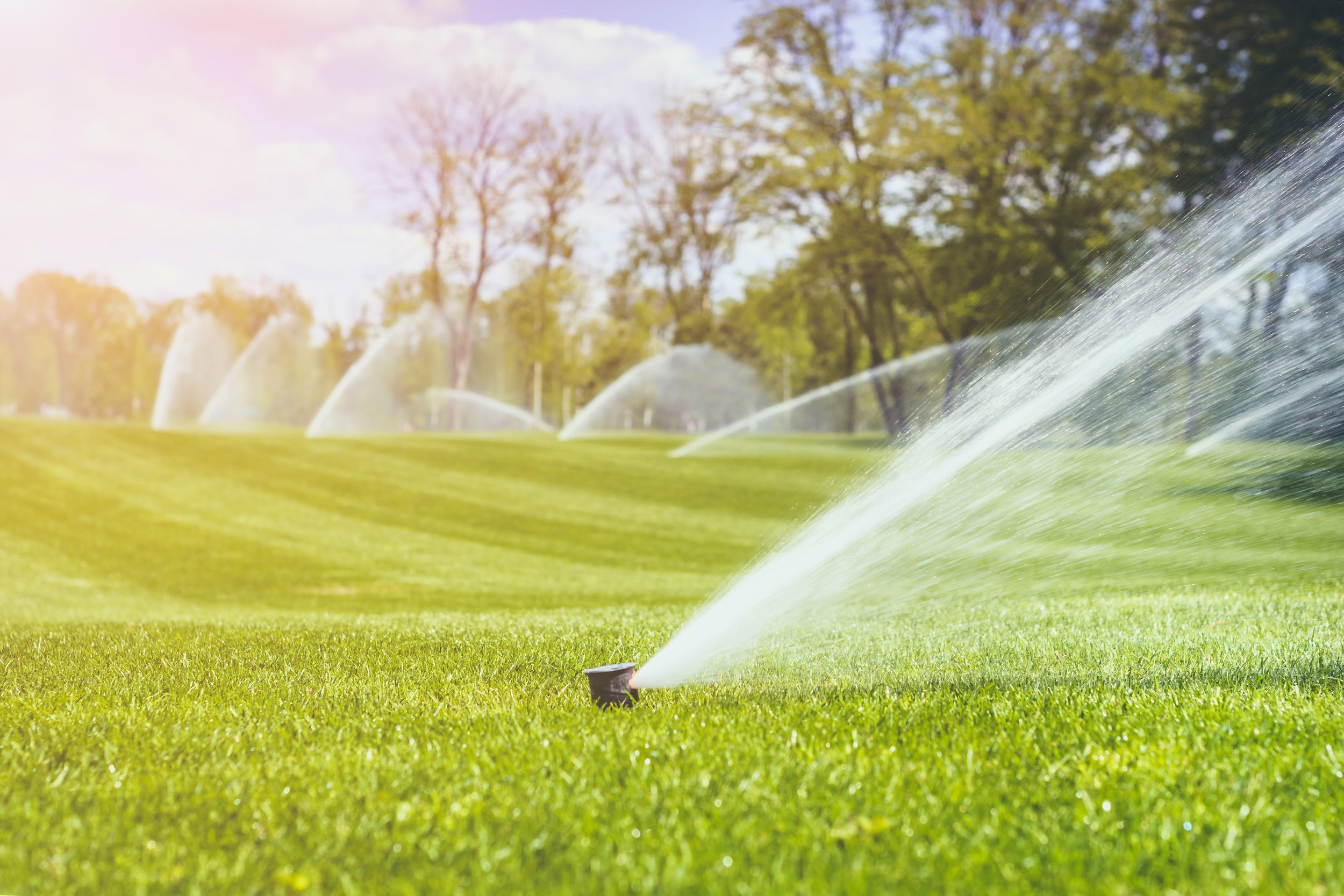 Commercial Irrigation Services — King's Irrigation Inc.