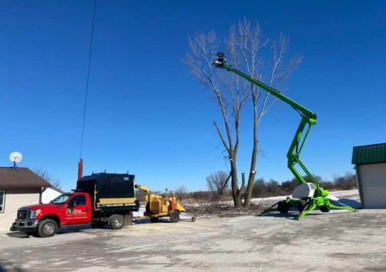 Price Tree Services, LLC