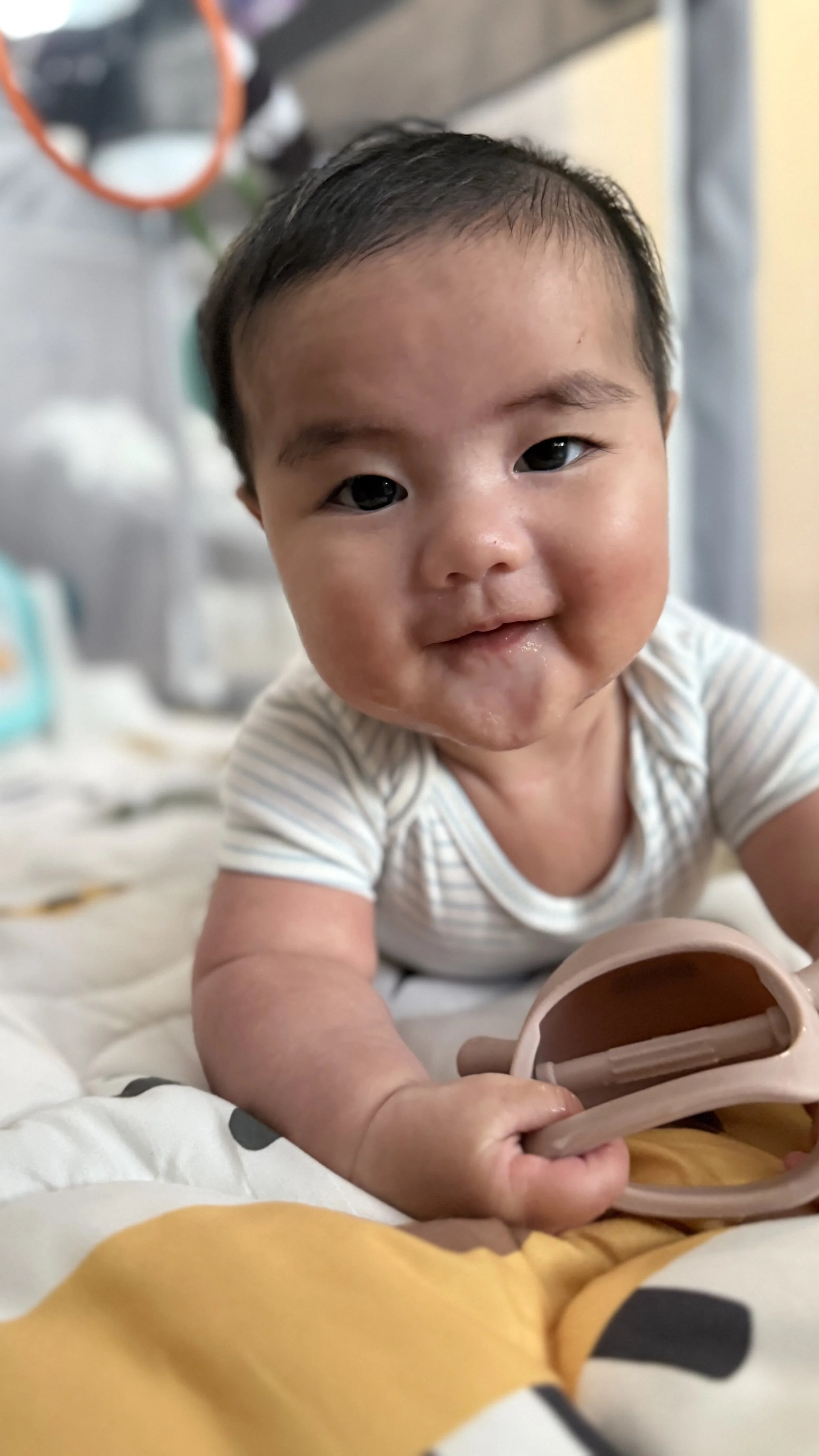 IMG_3608 Atlas Jayce.jpeg