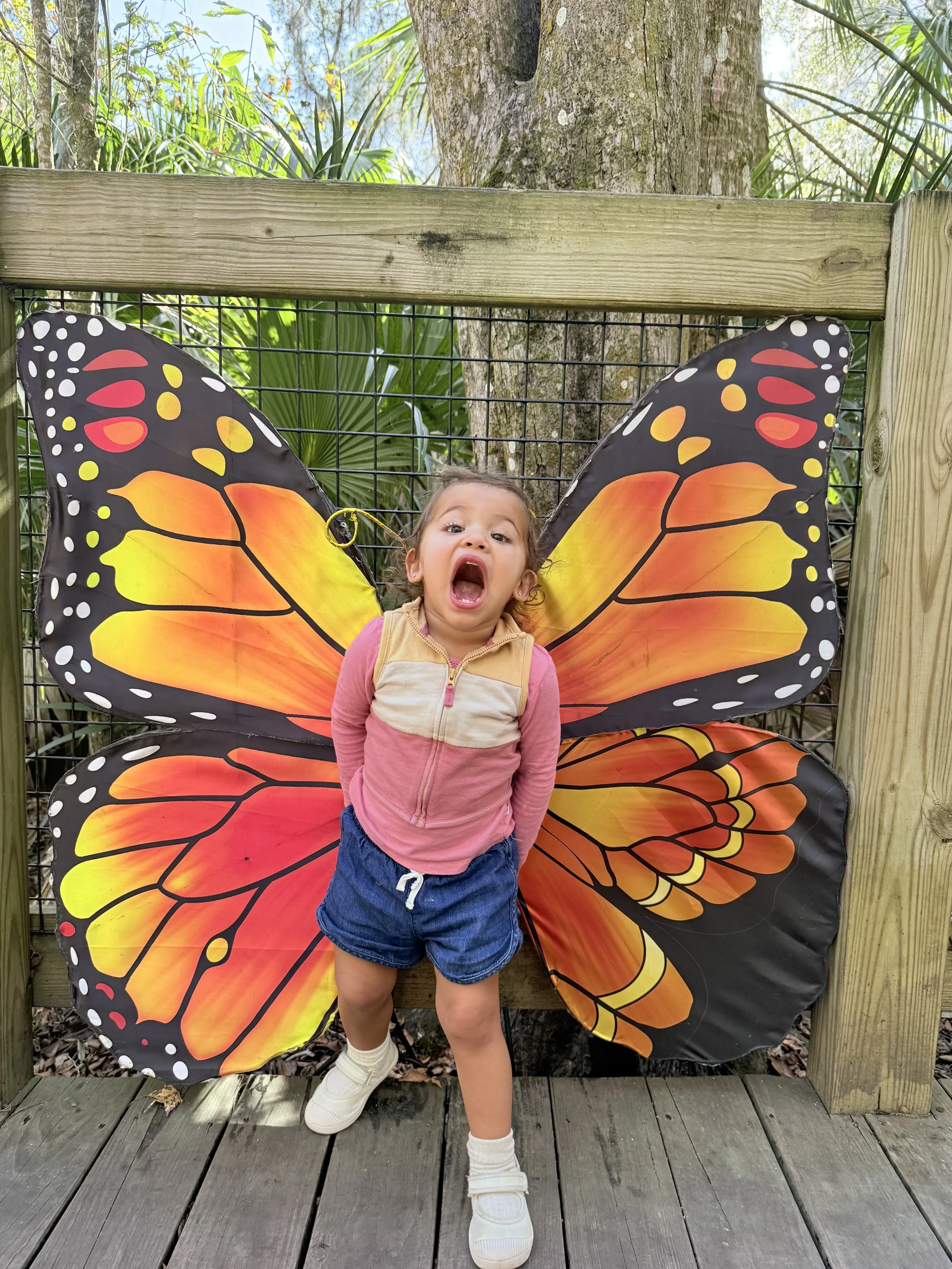 IMG_6445 Bryan Holt.jpeg