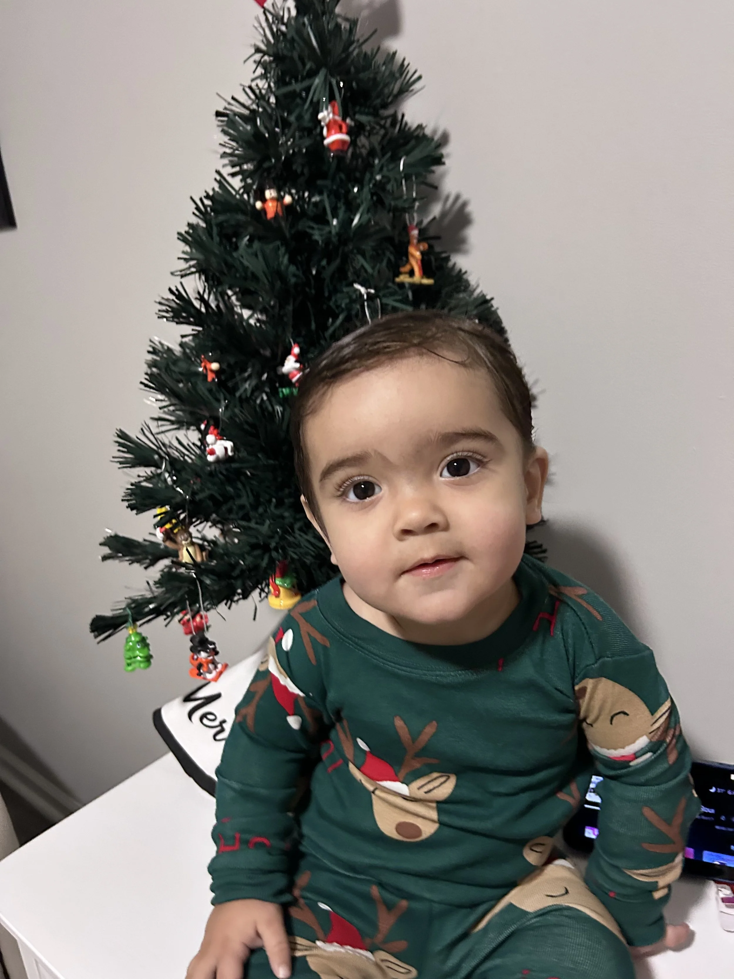 Daniel Rodriguez Kodrasi 6 Silvia Kodrasi.JPEG