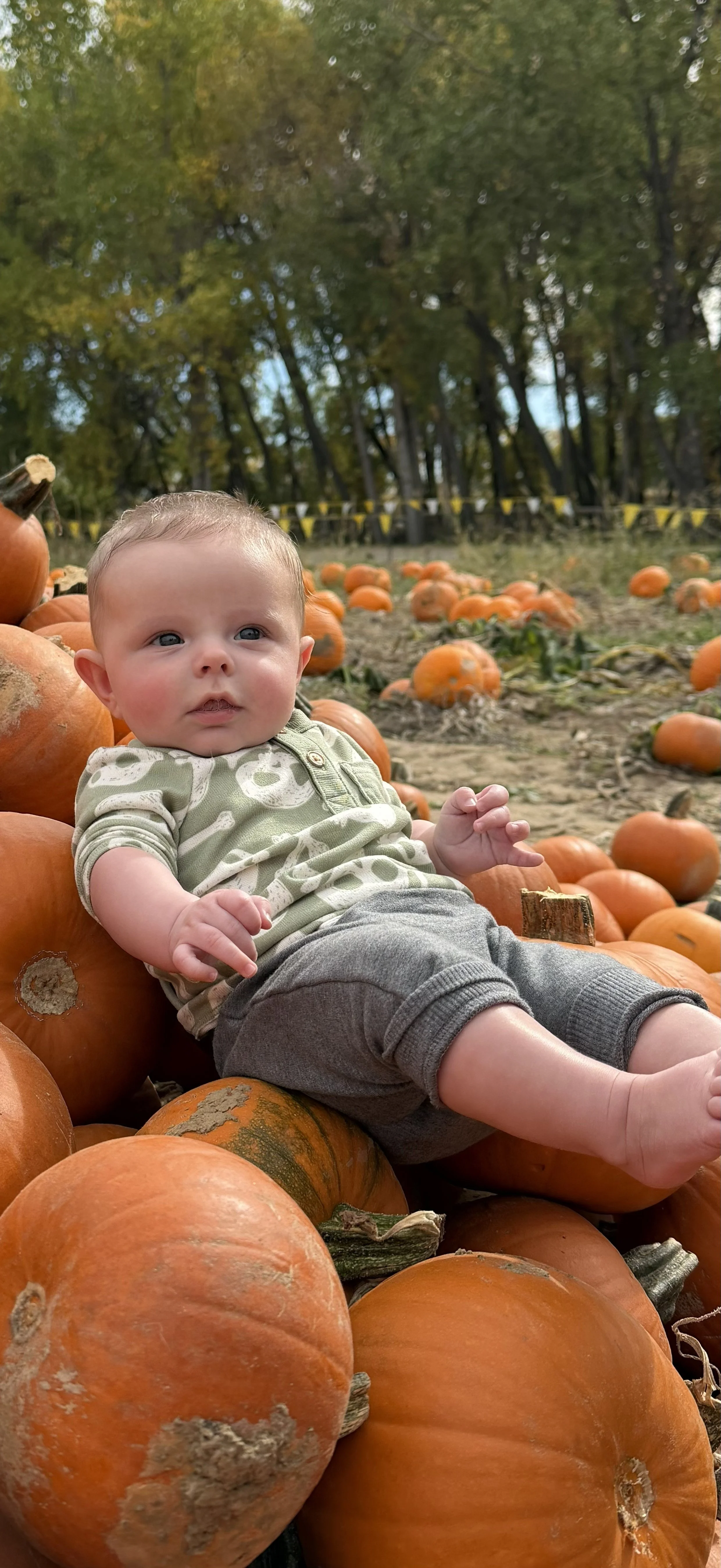 Cadan Mercer8 Tim Mercer.jpeg