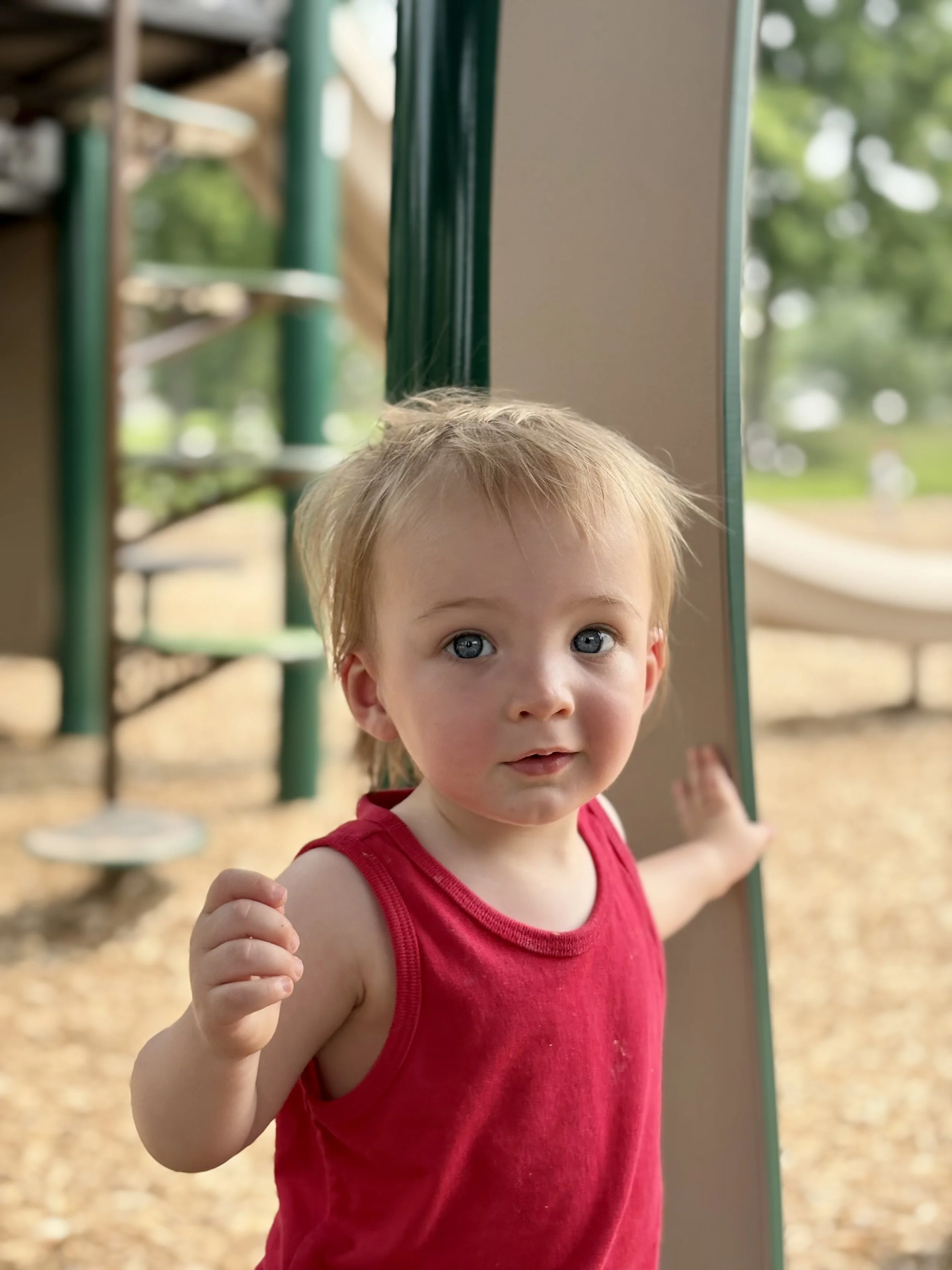 IMG_8603 Jacqueline Lyons.jpeg