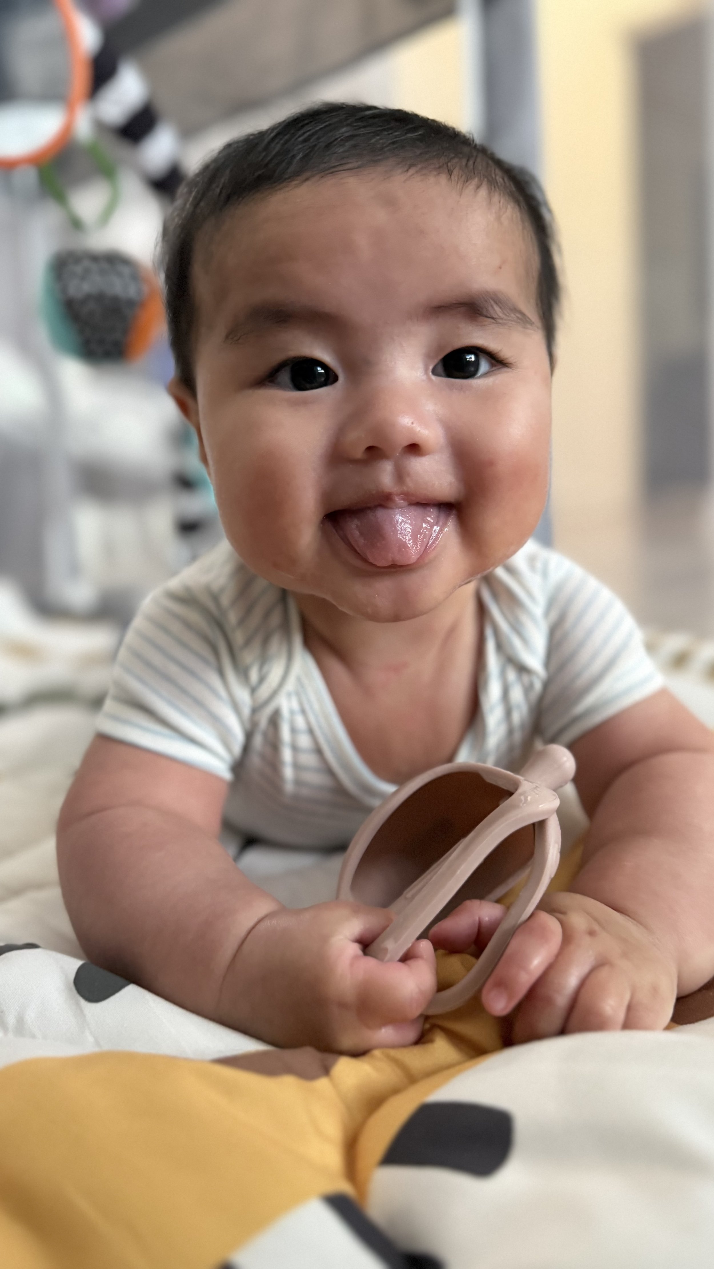 IMG_3609 Atlas Jayce.jpeg