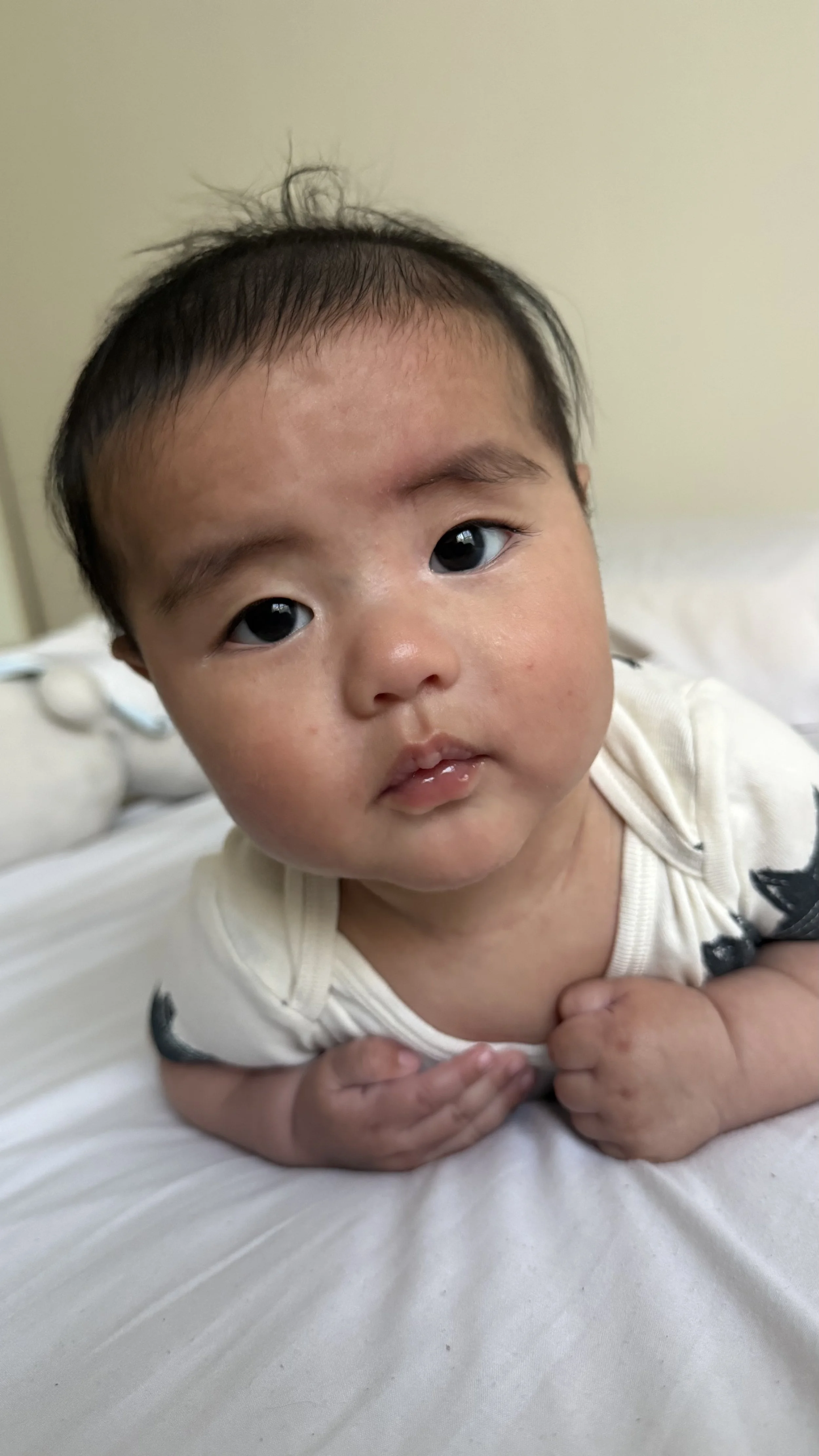 IMG_3405 Atlas Jayce.jpeg