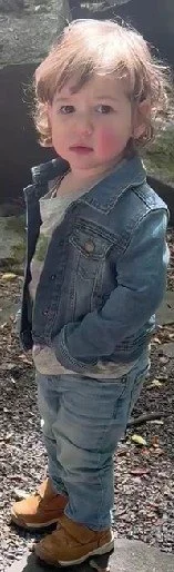 Sage Boulder woods.jpg