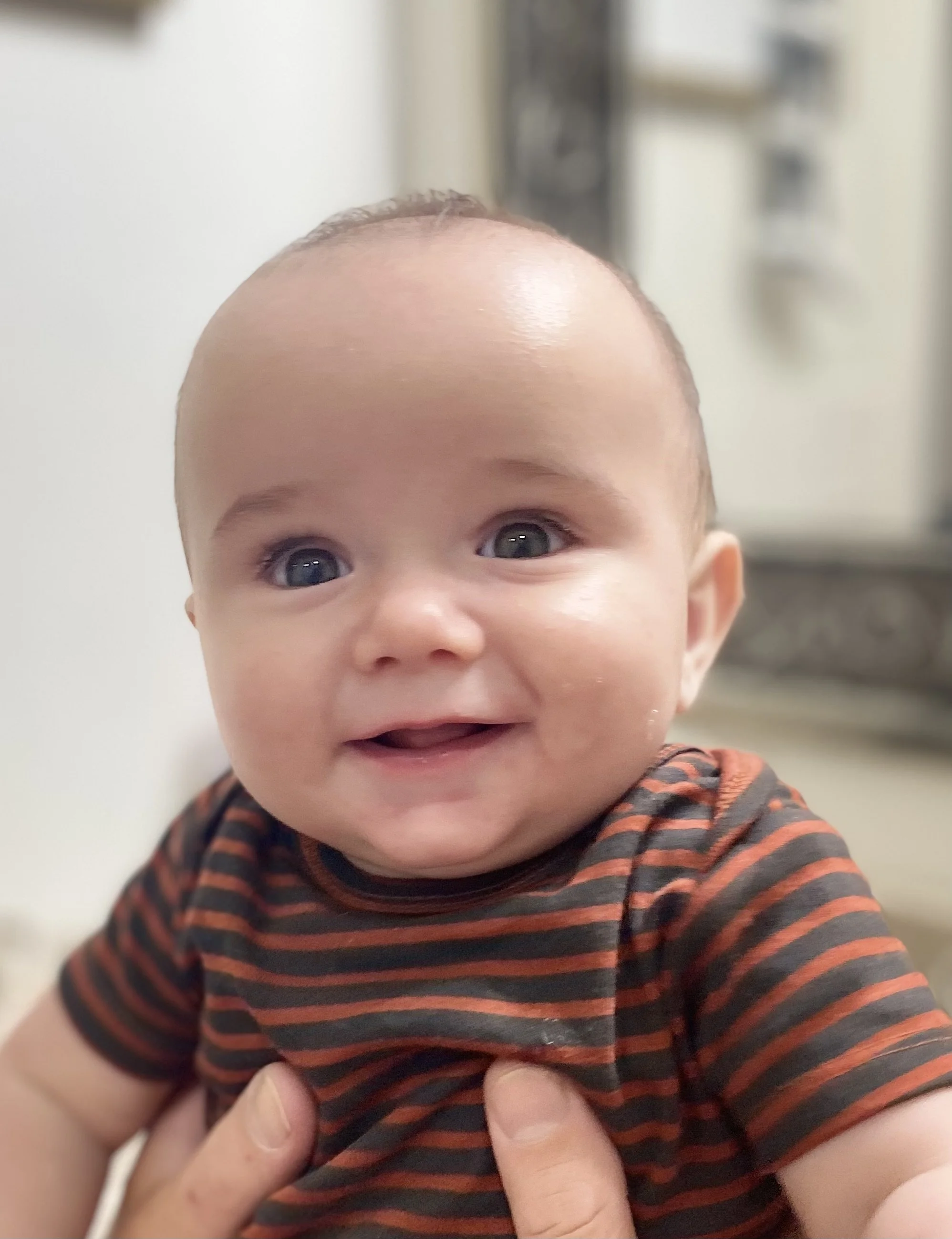 IMG_3382 Collin Wolfe.jpeg