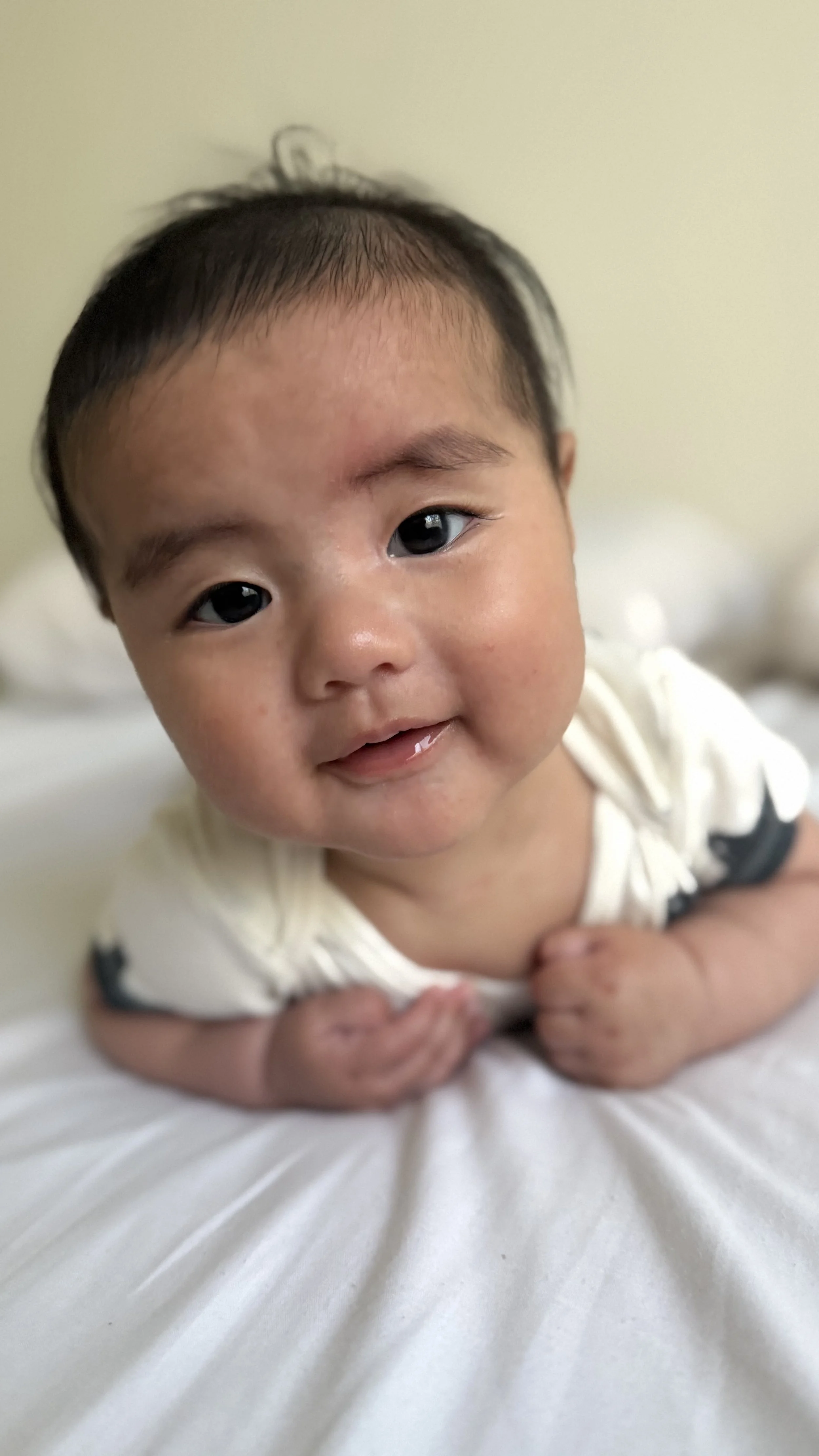 IMG_3406 Atlas Jayce.jpeg