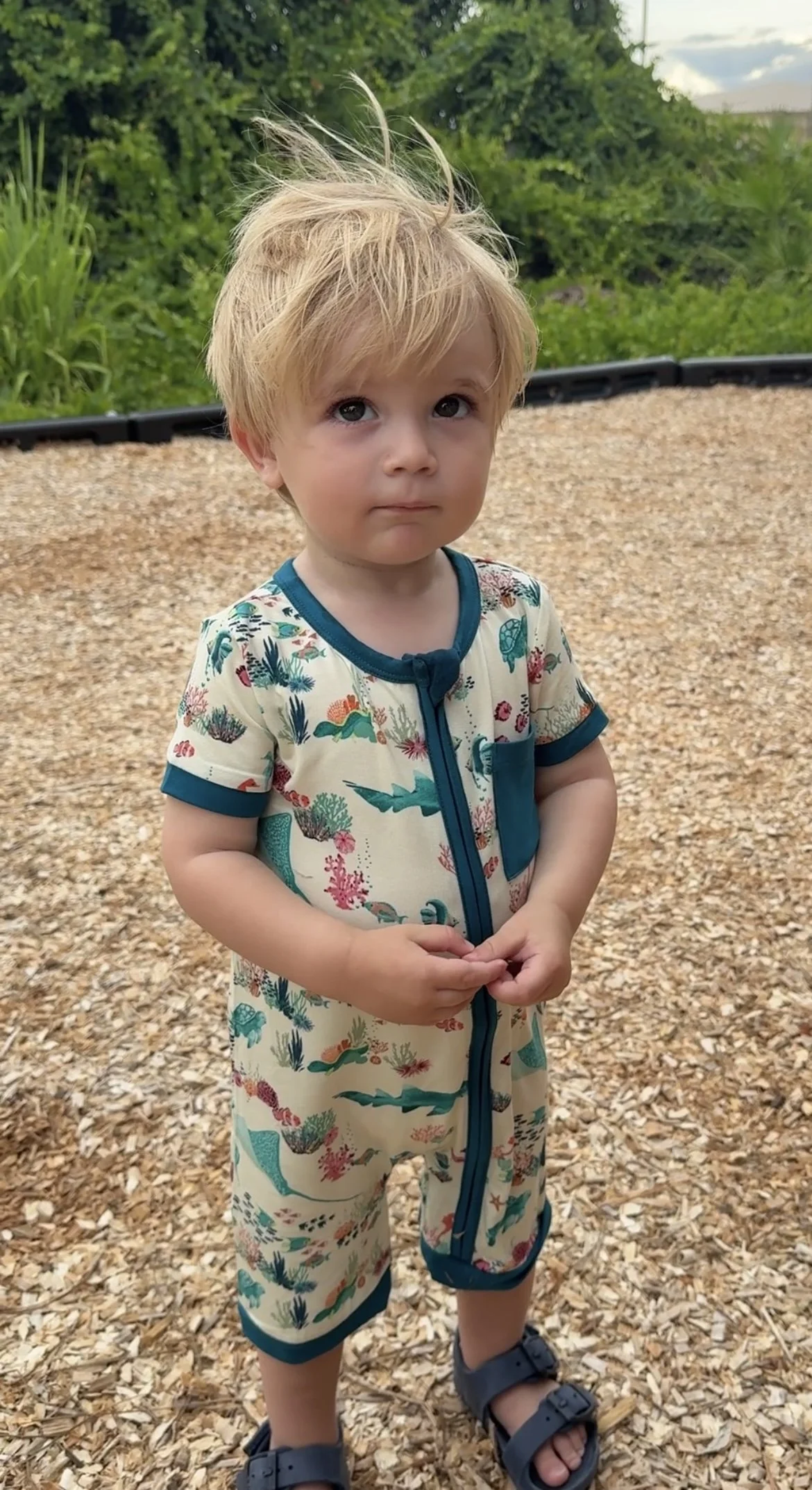 IMG_8275 Vanessa Van Norman.jpeg