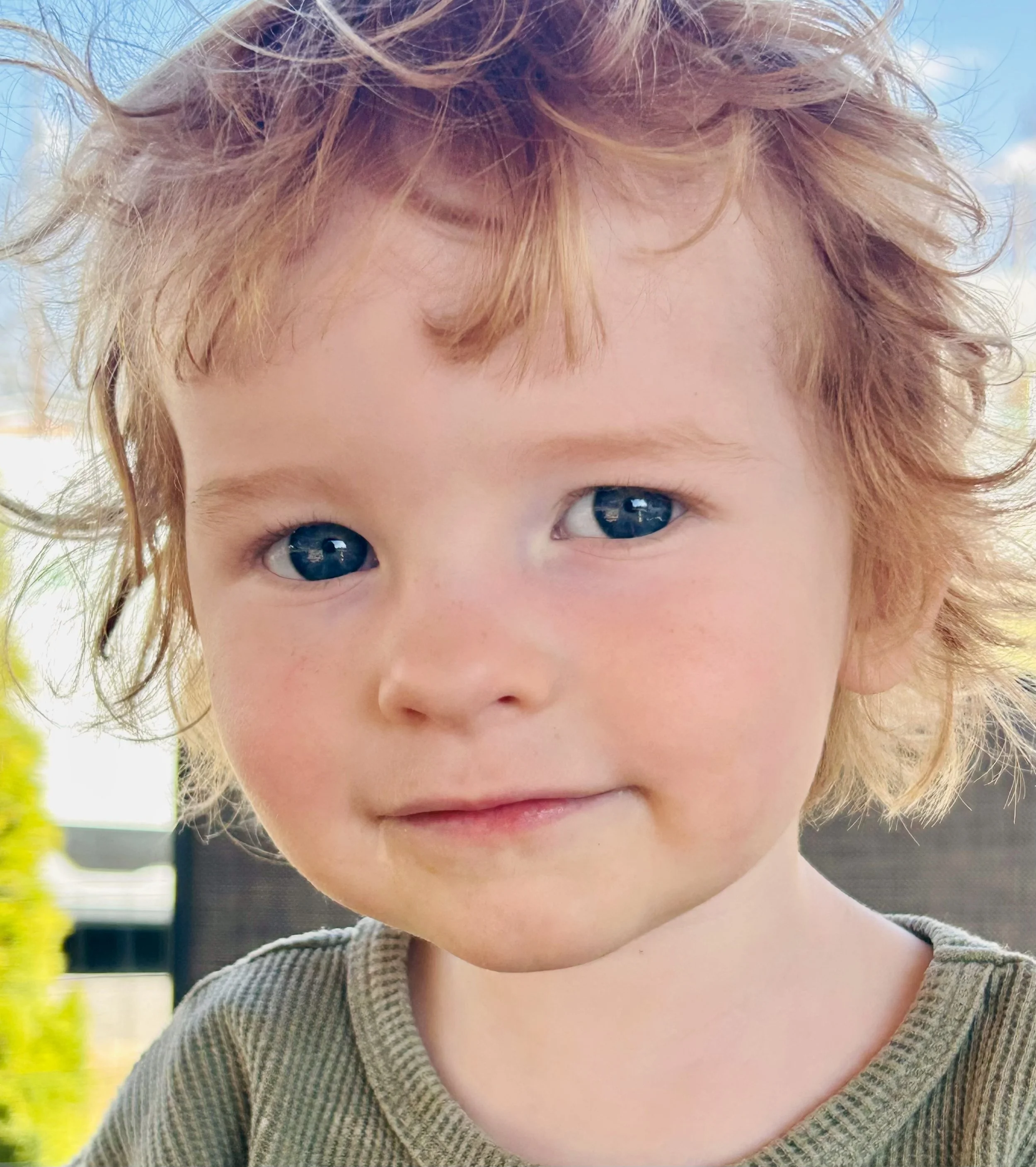 IMG_8485 Shade Young.jpeg