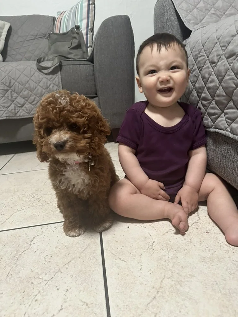 Search results from jrniejade (13).jpeg