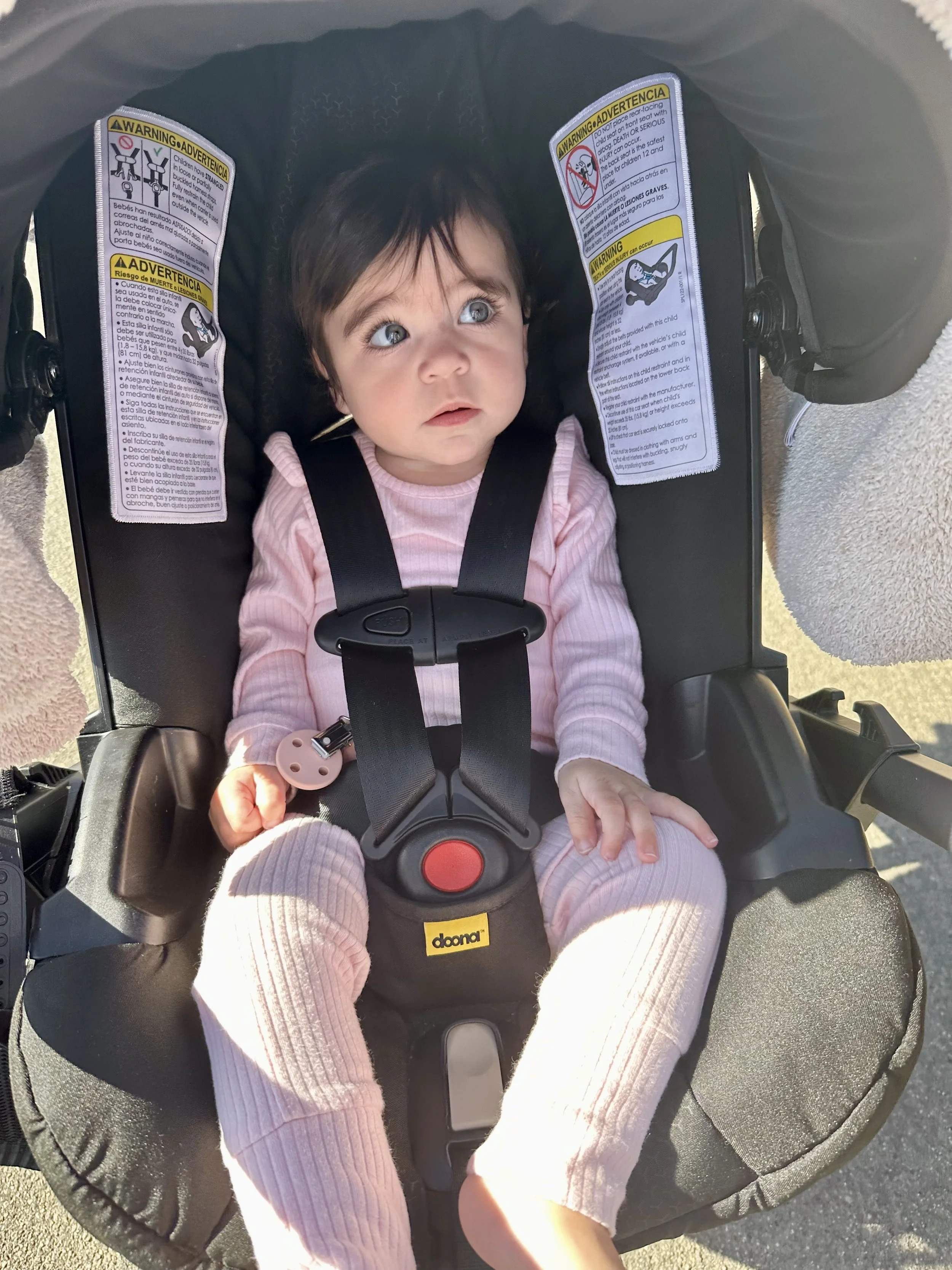 IMG_5535 Eleanor Donovick.jpeg