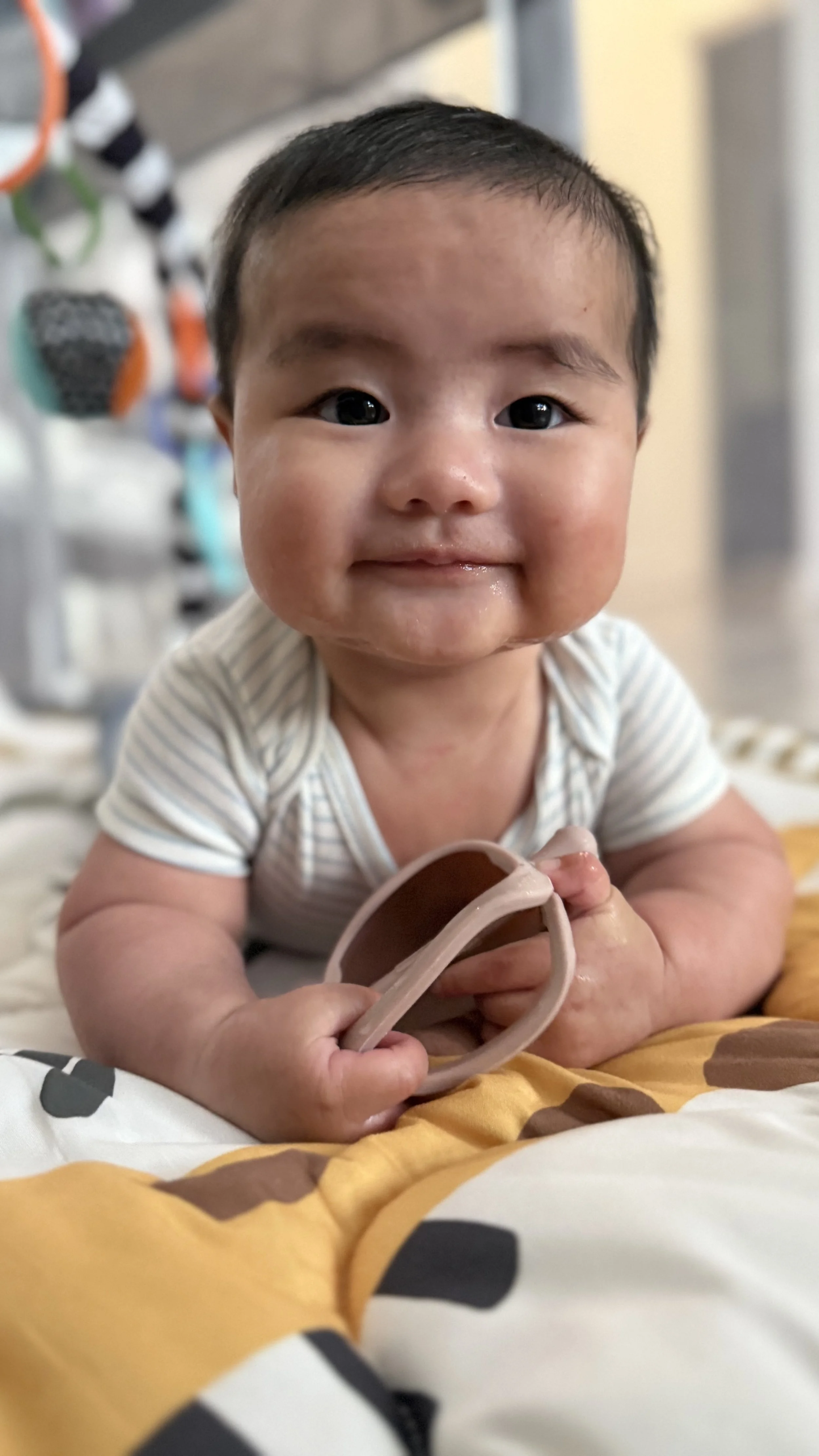 IMG_3607 Atlas Jayce.jpeg