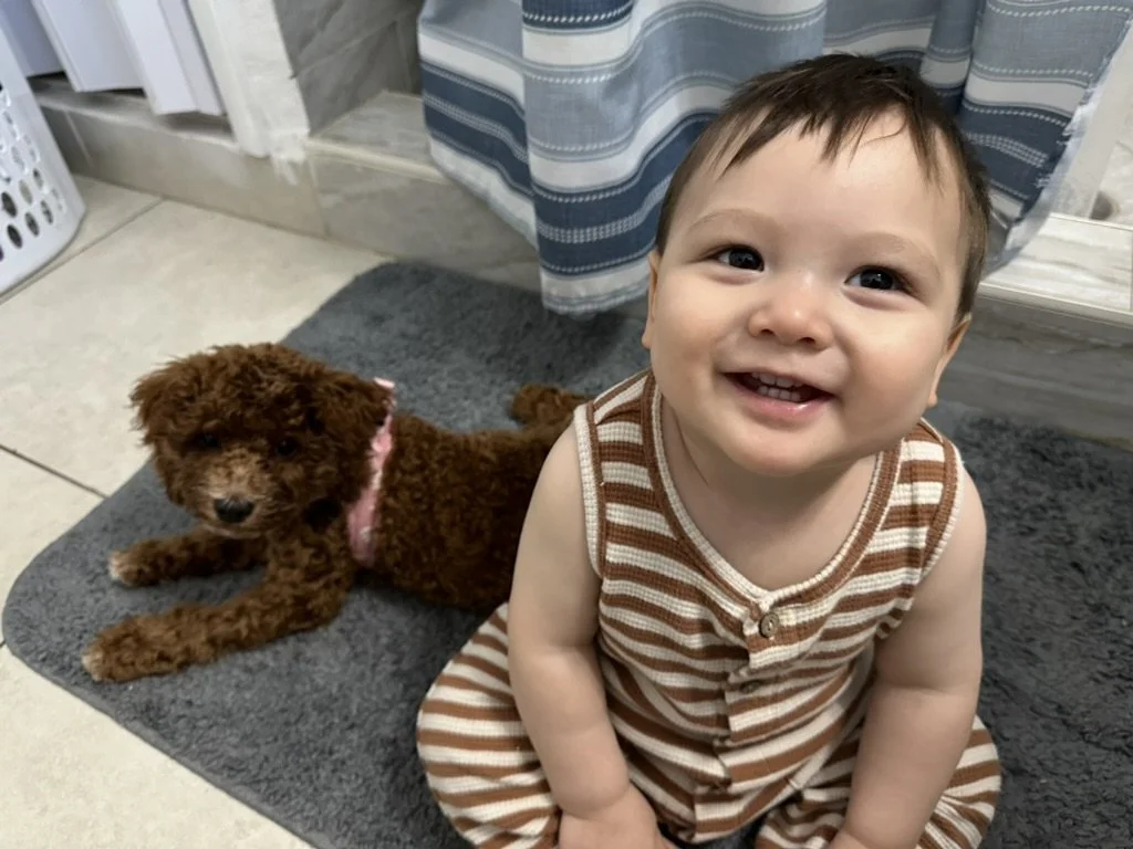 Search results from jrniejade (9).jpeg