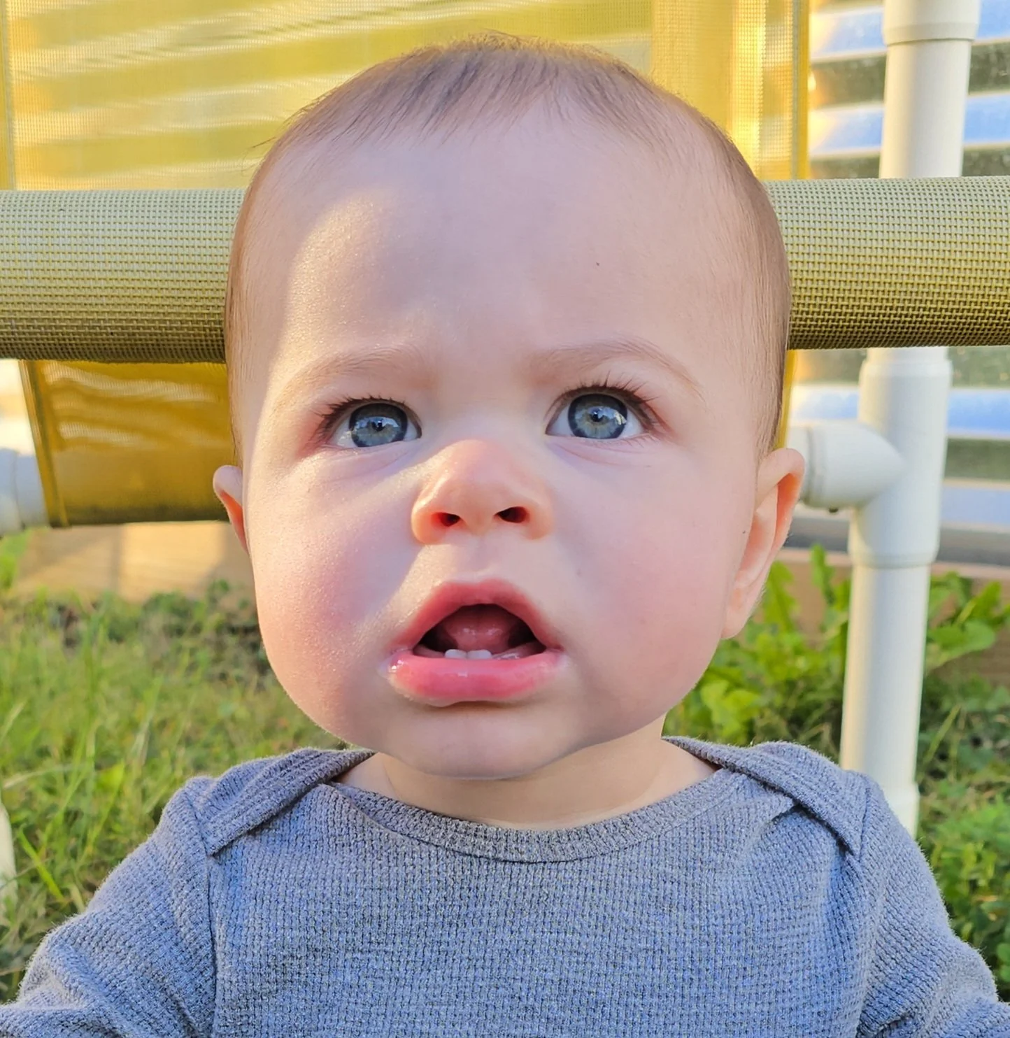 ALDENHECK Caitlin Mccann.jpg