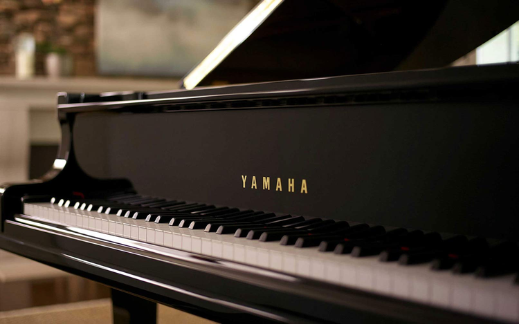 Piano lessons