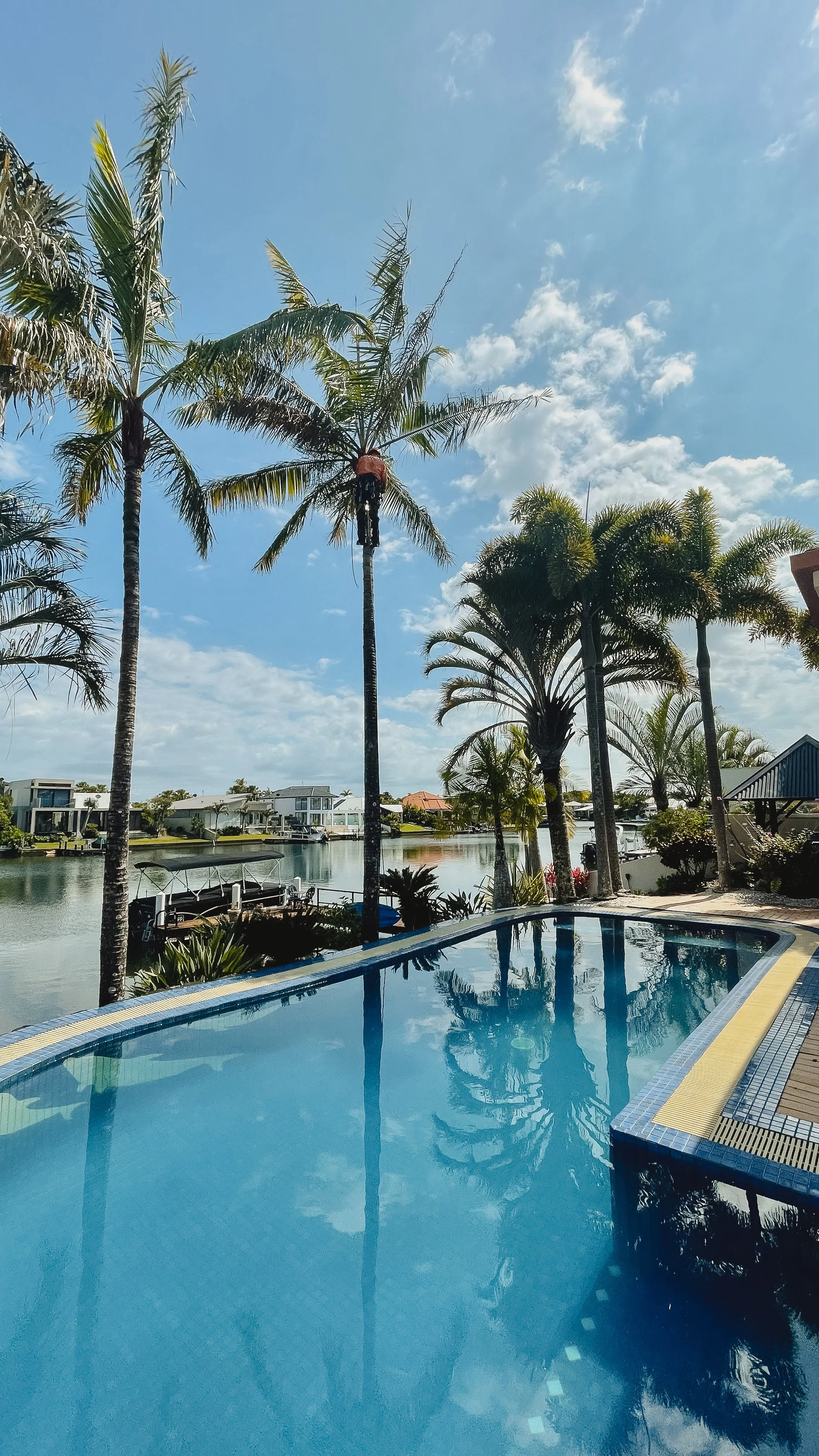 riprip-tree-services-arborist-sunshine-coast-noosa-18.jpg