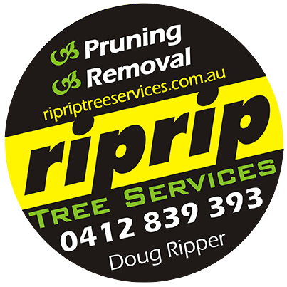RipRip Tree Services Arborist