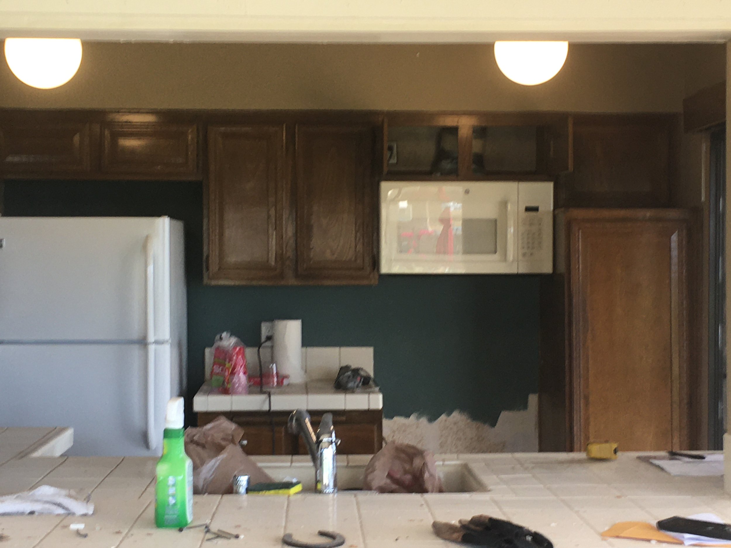 Kitchen redesign BEFORE