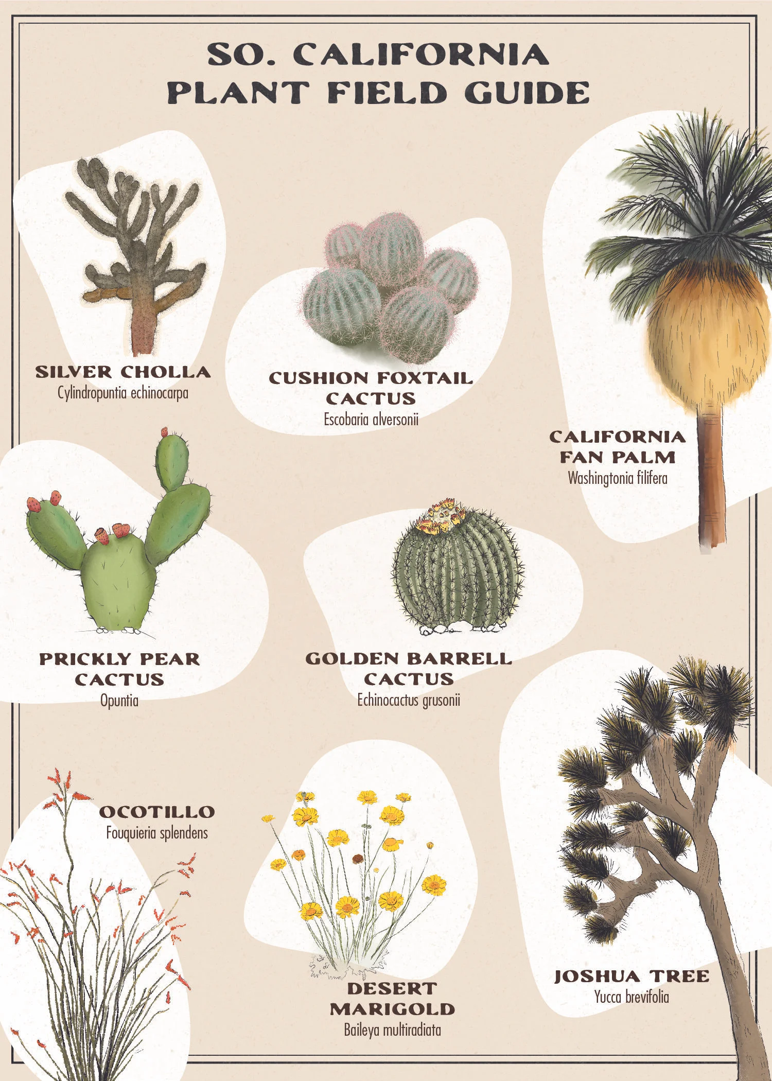 SoCal Plant Guide 5x7-01.jpg