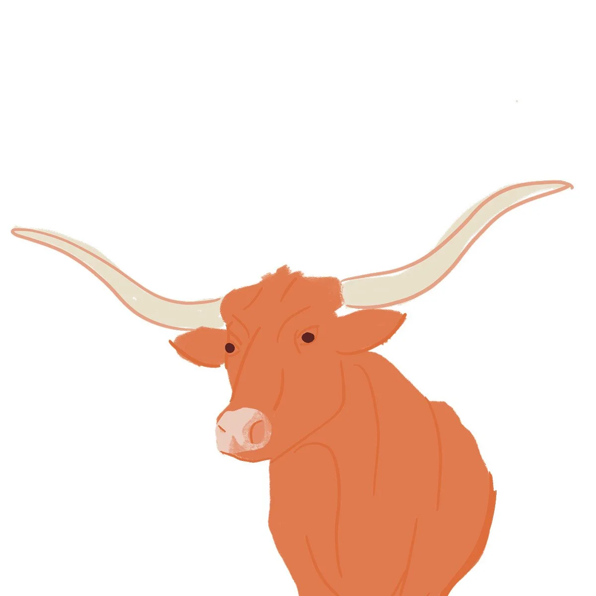 illustrations for portfolio5.jpg
