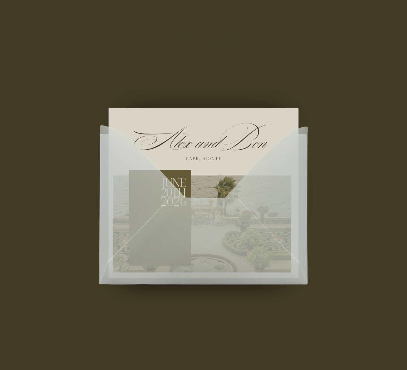 Custom Wedding Website Examples (1).png