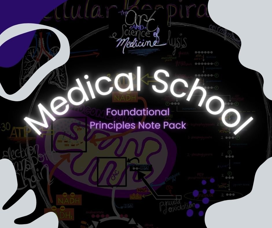 Foundational Principles Note Pack Featured Image.jpg