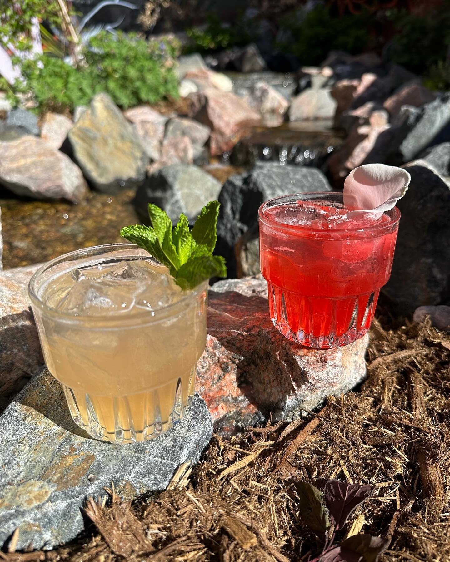 We have two new house tonics for you to try today! The right is a refreshing mix of orange and rose, the left is mint, lavender and lime! Both served with delicious @suntory_rokugin Come on in and try one today while supplies last!