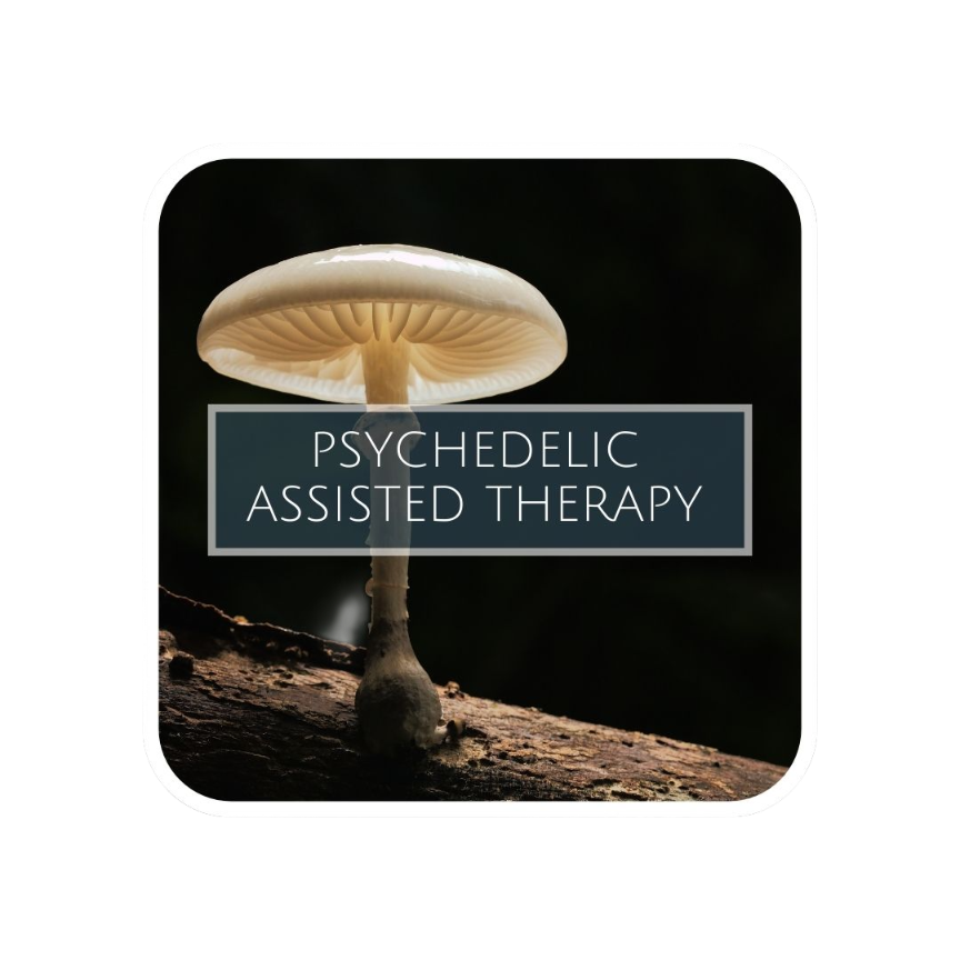 psy box-Picsart-BackgroundRemover.jpg