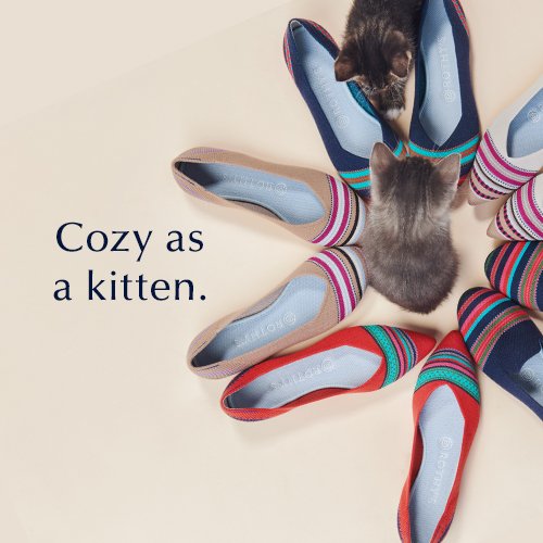 kitten_.jpg