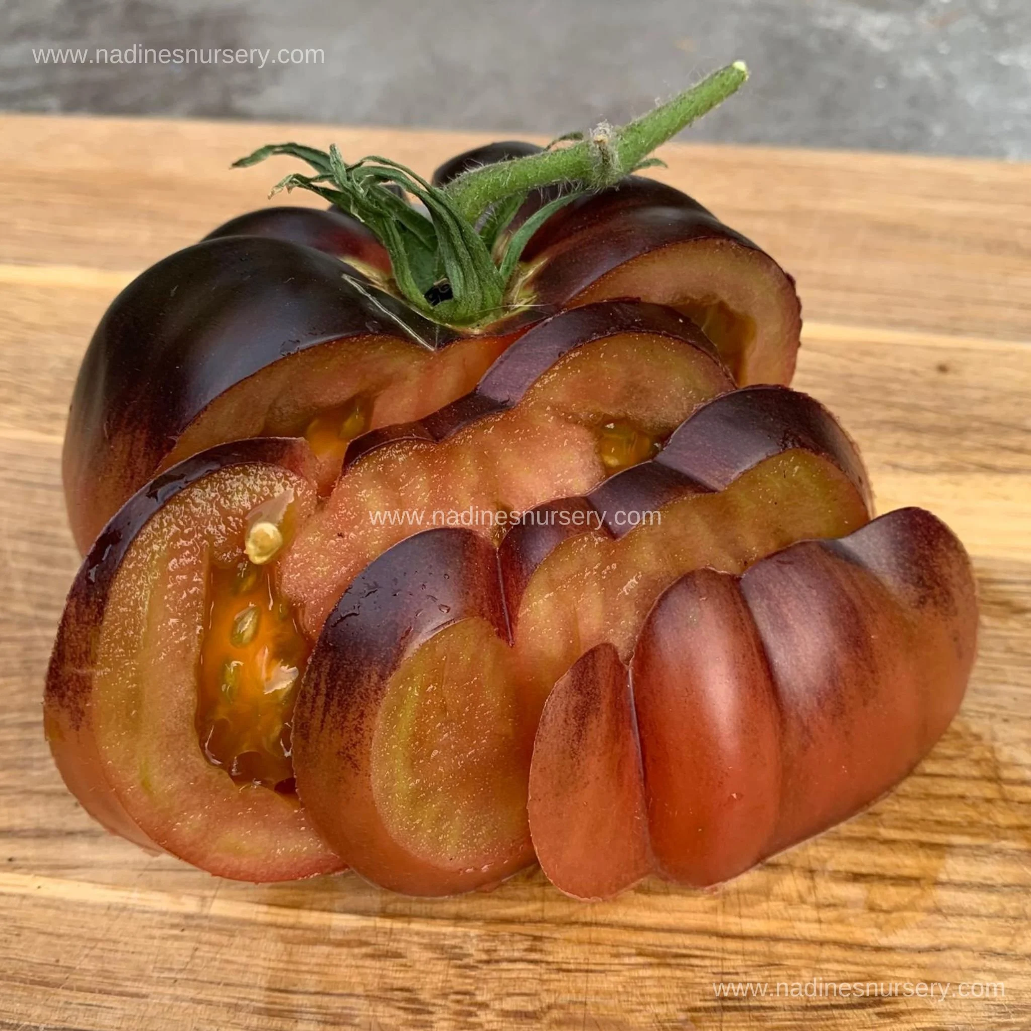 Tomato - Black Beauty (3.5" pot)