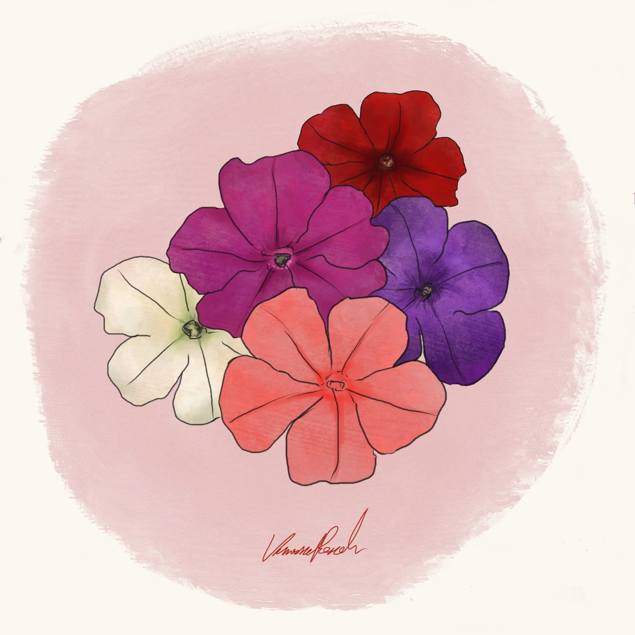Petunia - FotoFinish Mix (5