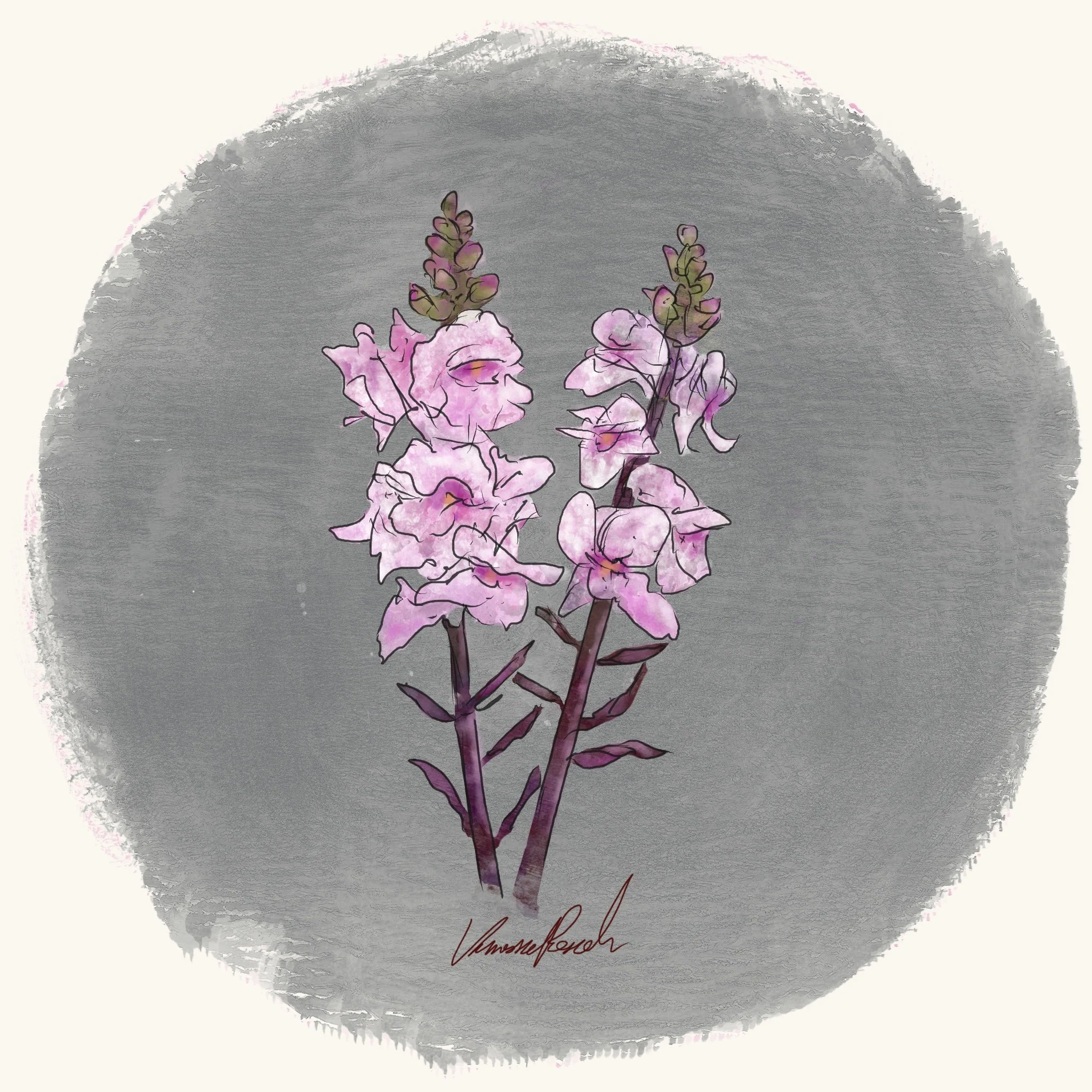 Snapdragon - Bronze Dragon (3.5