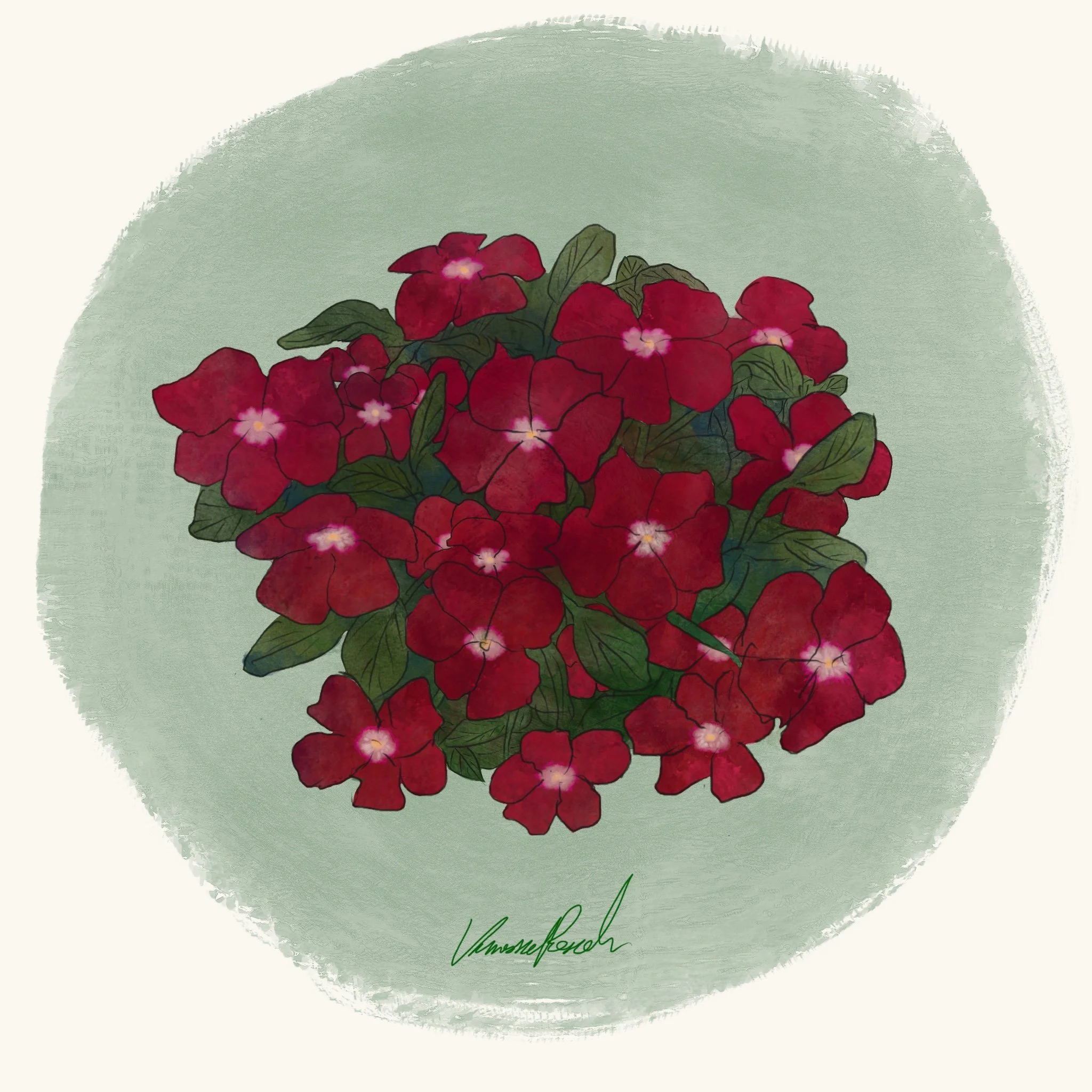 Vinca - Mediterranean Burgundy Halo XP (3.5