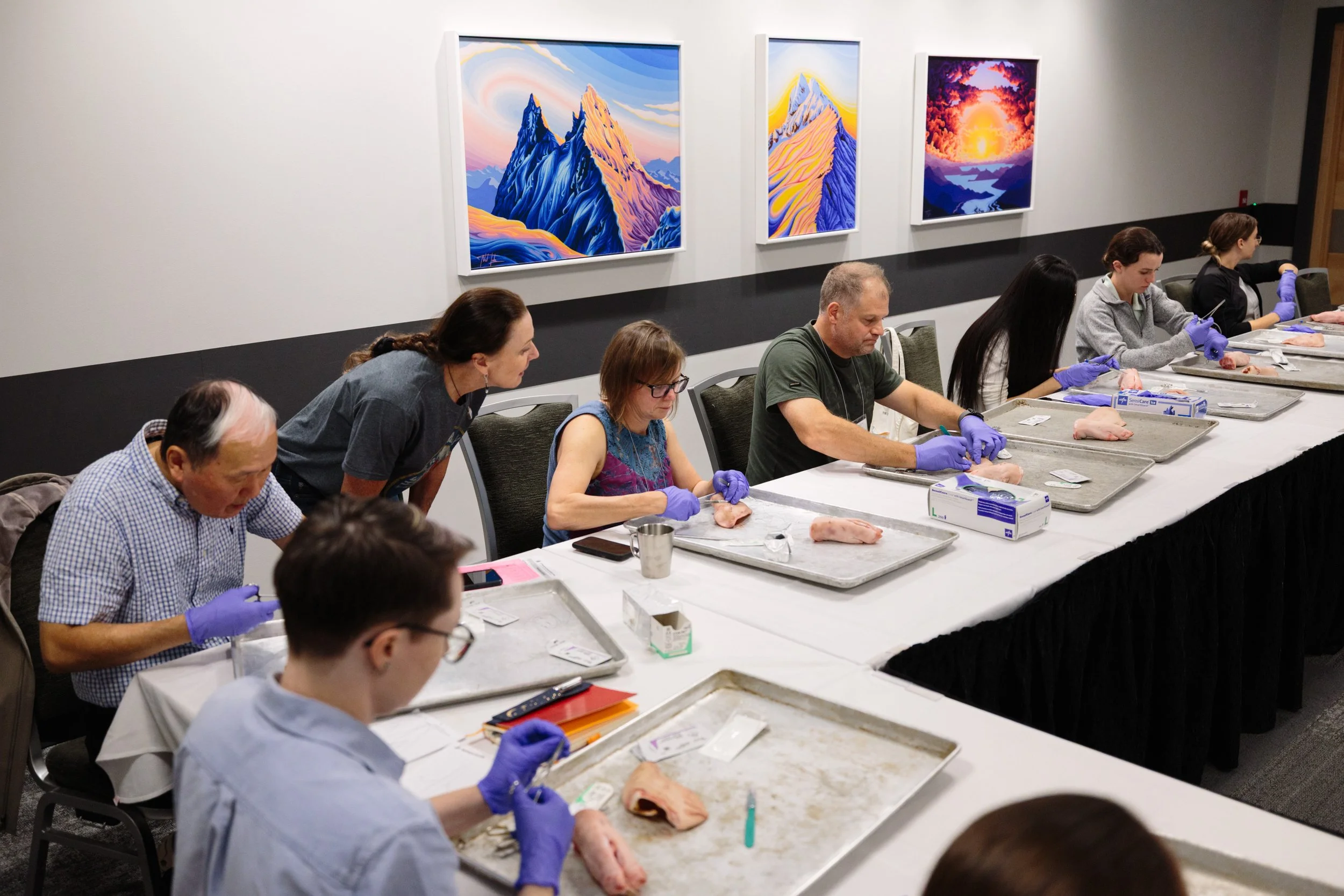 Group of people participating in a meat butchering workshop, wearing purple gloves, working with pork cuts on trays in a conference room with colorful mountain landscape paintings on the wall.