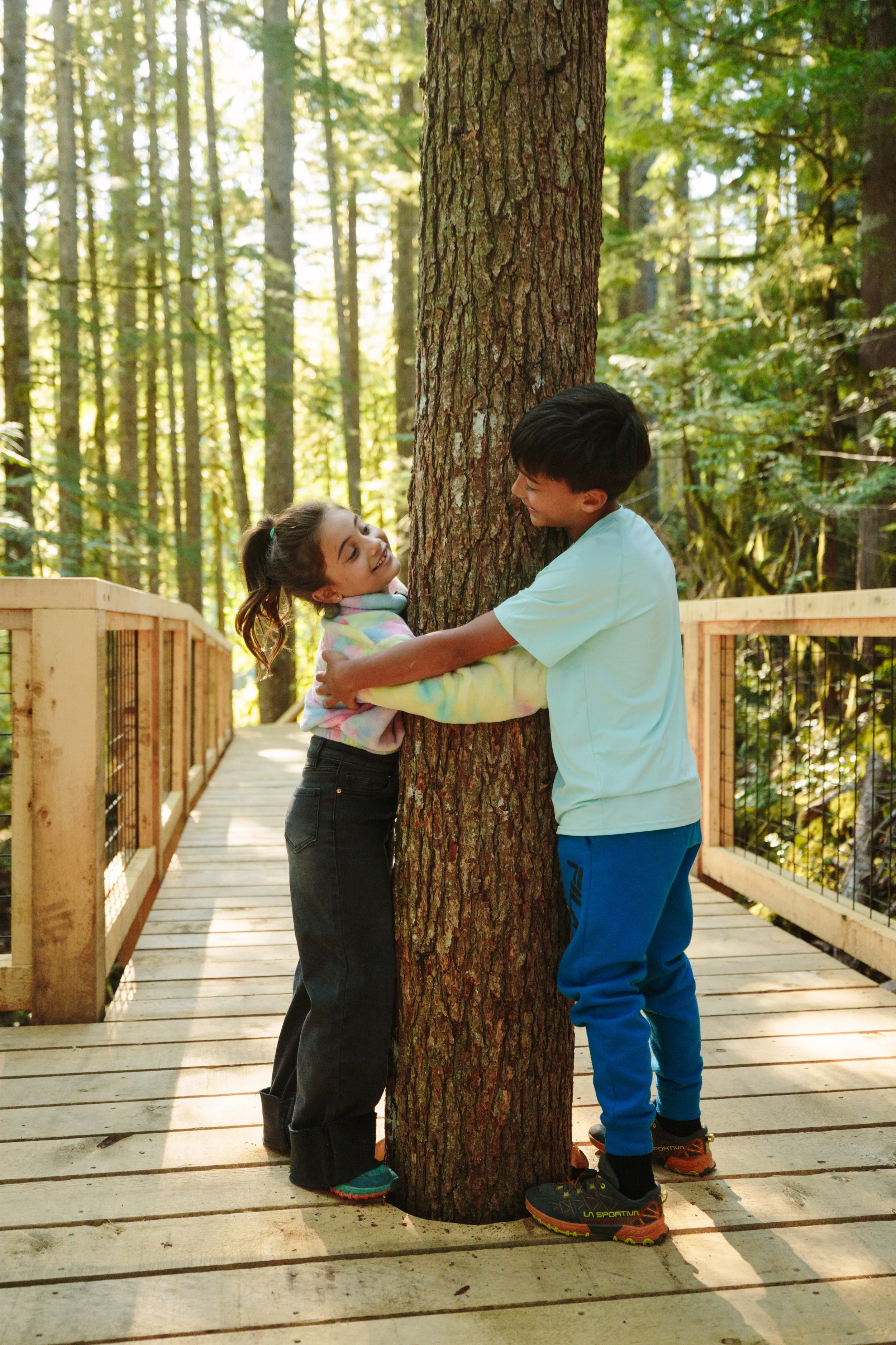 Two children, a girl and a boy, hugging a large tree on a wooden pathway in a forest.
