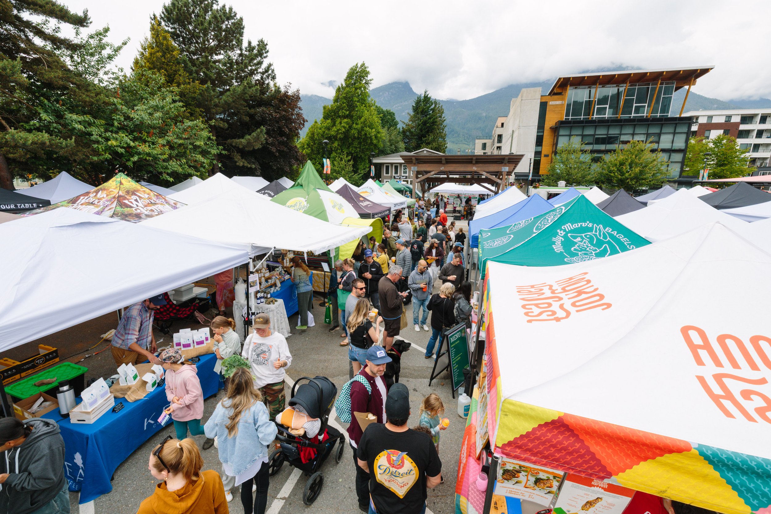 Outdoor farmers market with numerous vendor tents and people shopping, surrounded by trees, buildings, and mountains in the background.