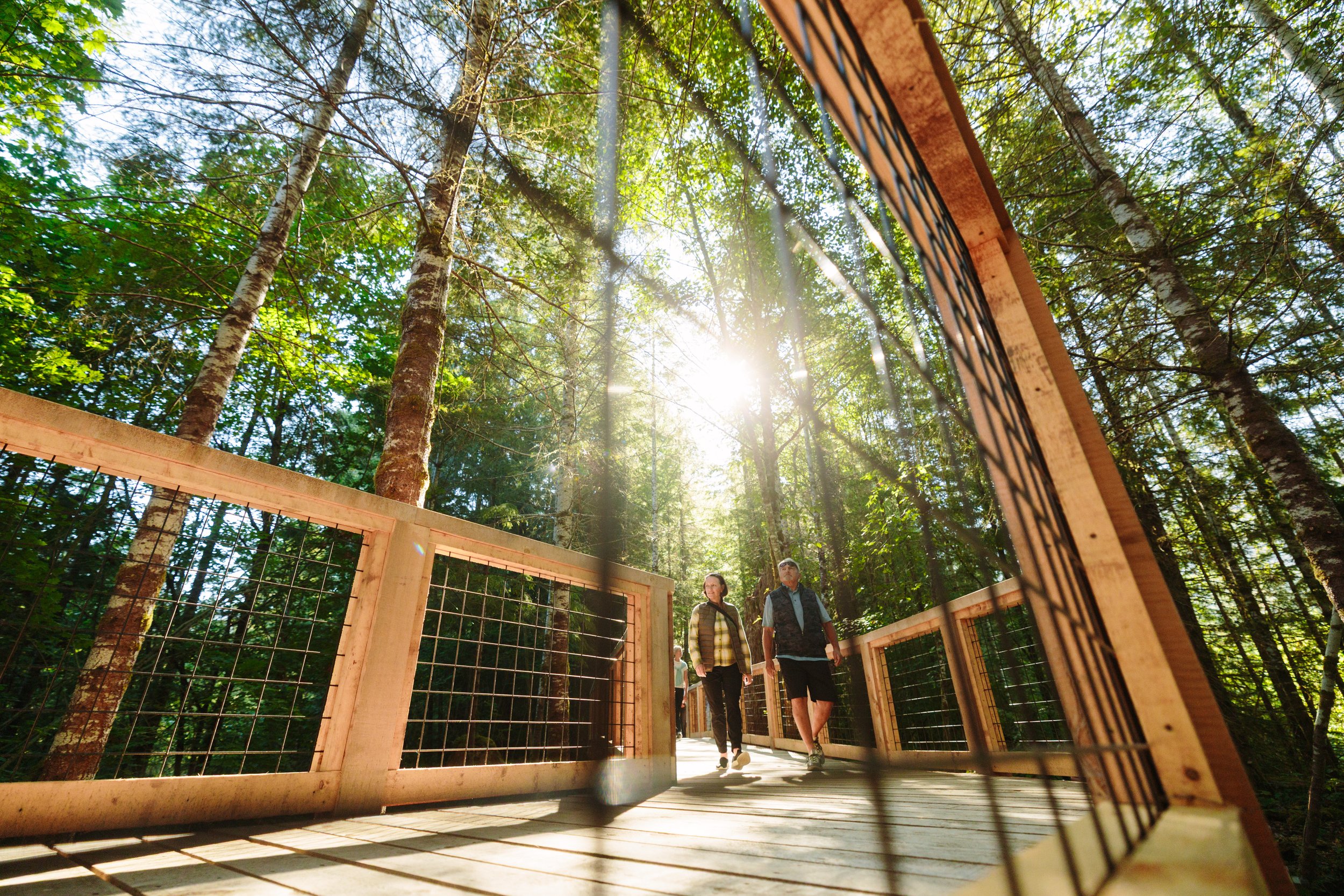 People walking on a wooden trail in a forest, viewed through a wire mesh enclosure, with the sun shining through the trees.