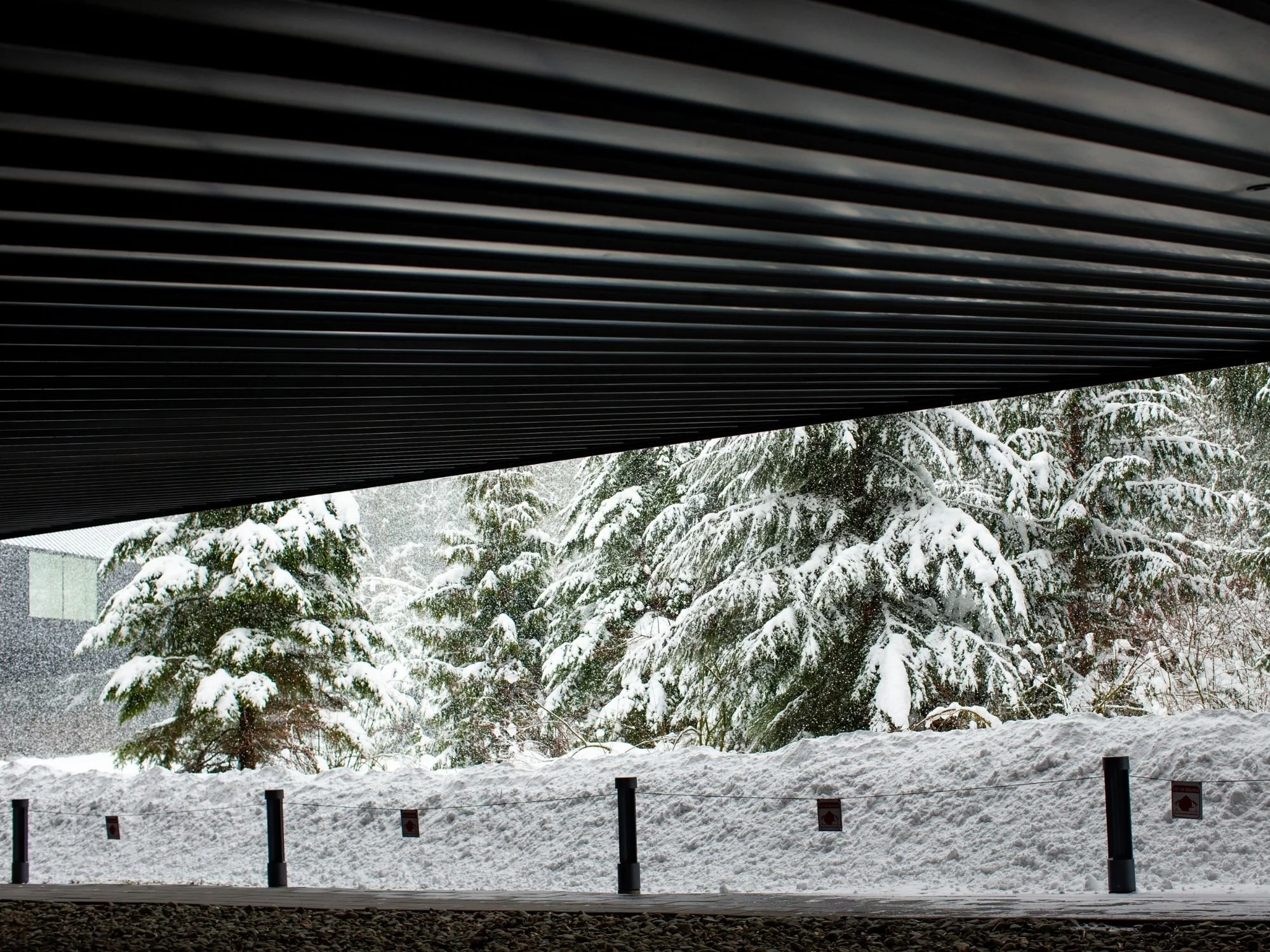 Audain Art Museum 38.jpg